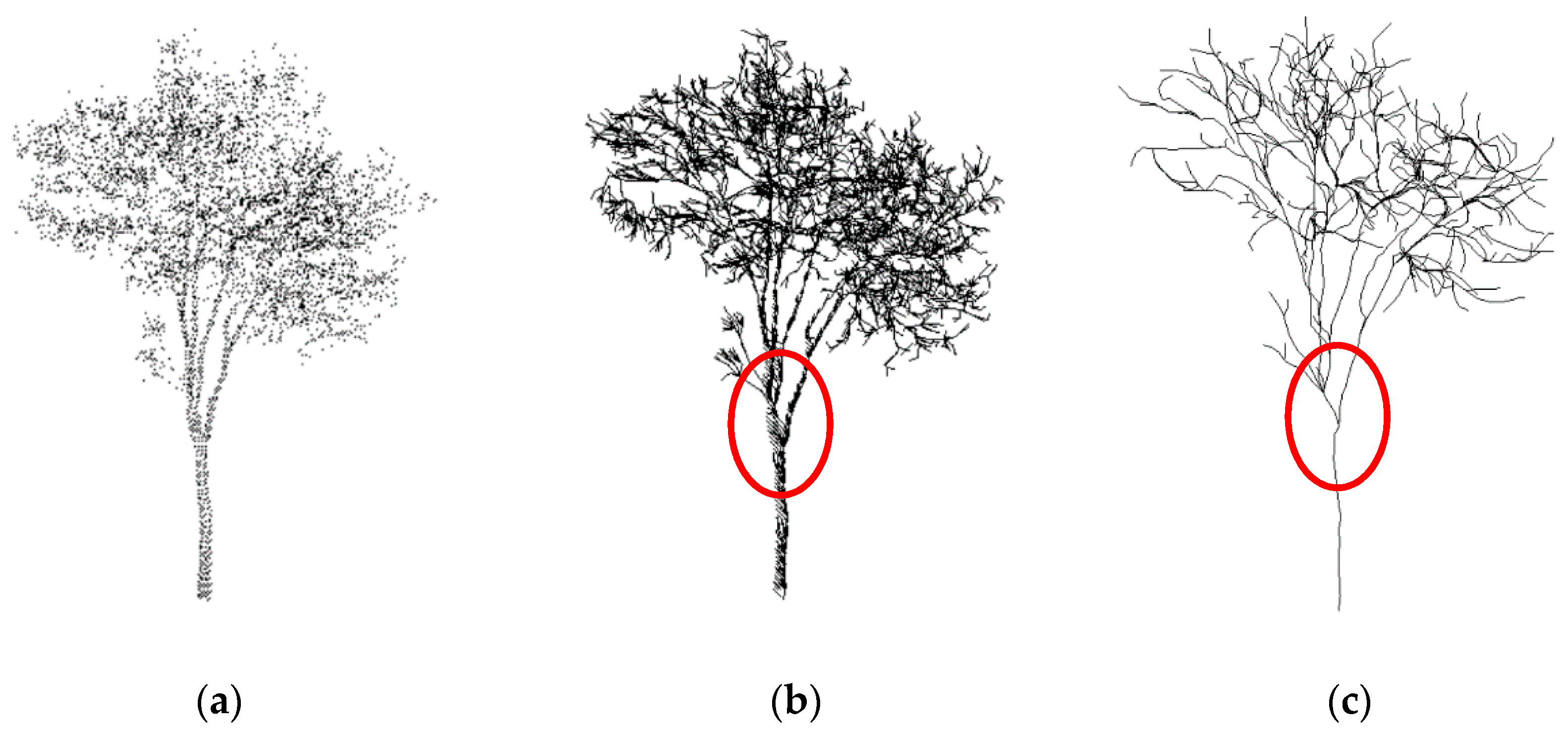 Remotesensing 12 02321 g007 Remotesensing 12 02321 g007