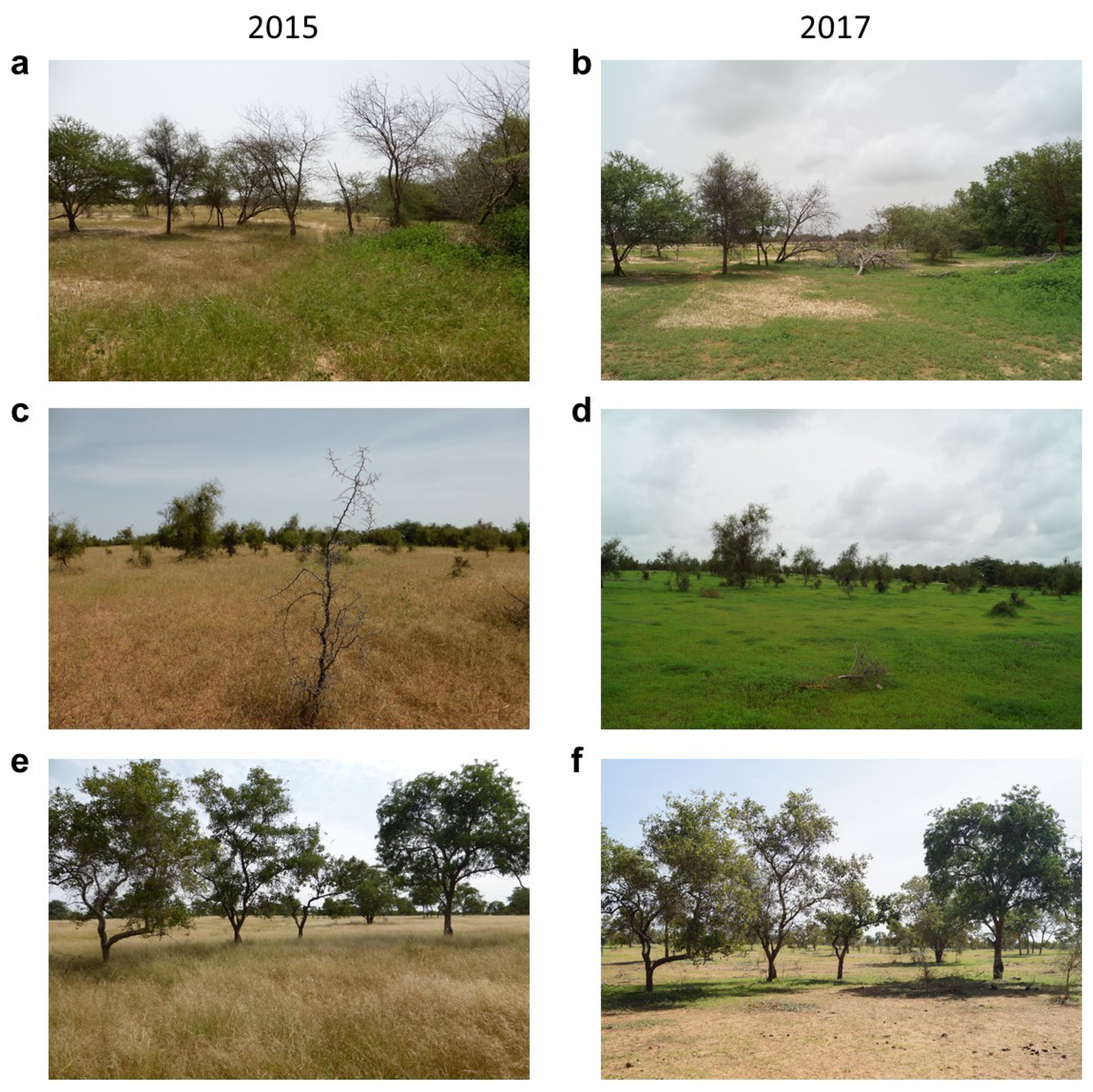 Remotesensing 12 02332 g007