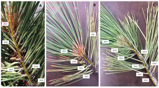 Remotesensing 12 02338 g0a1