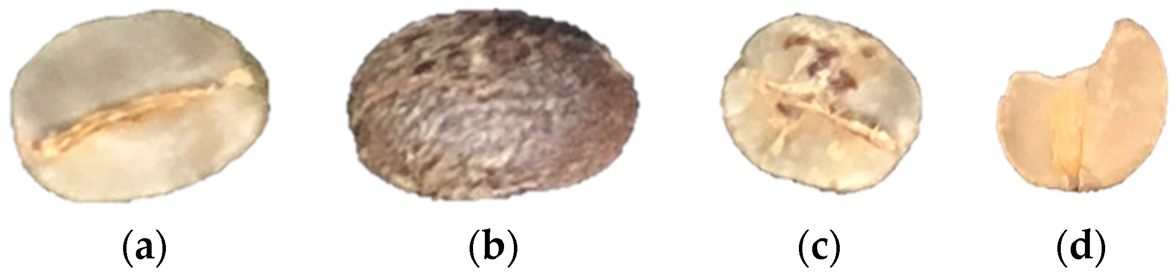 Remotesensing 12 02348 g004 Remotesensing 12 02348 g004
