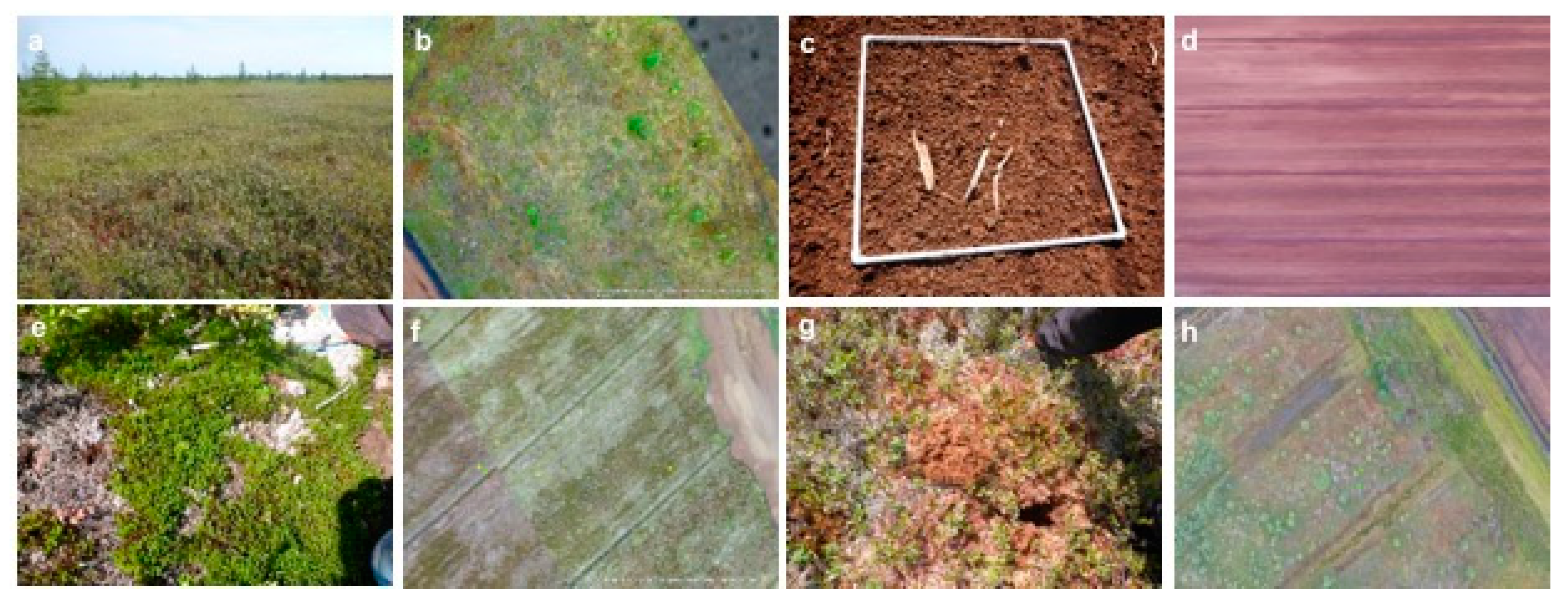 Remotesensing 12 02383 g011