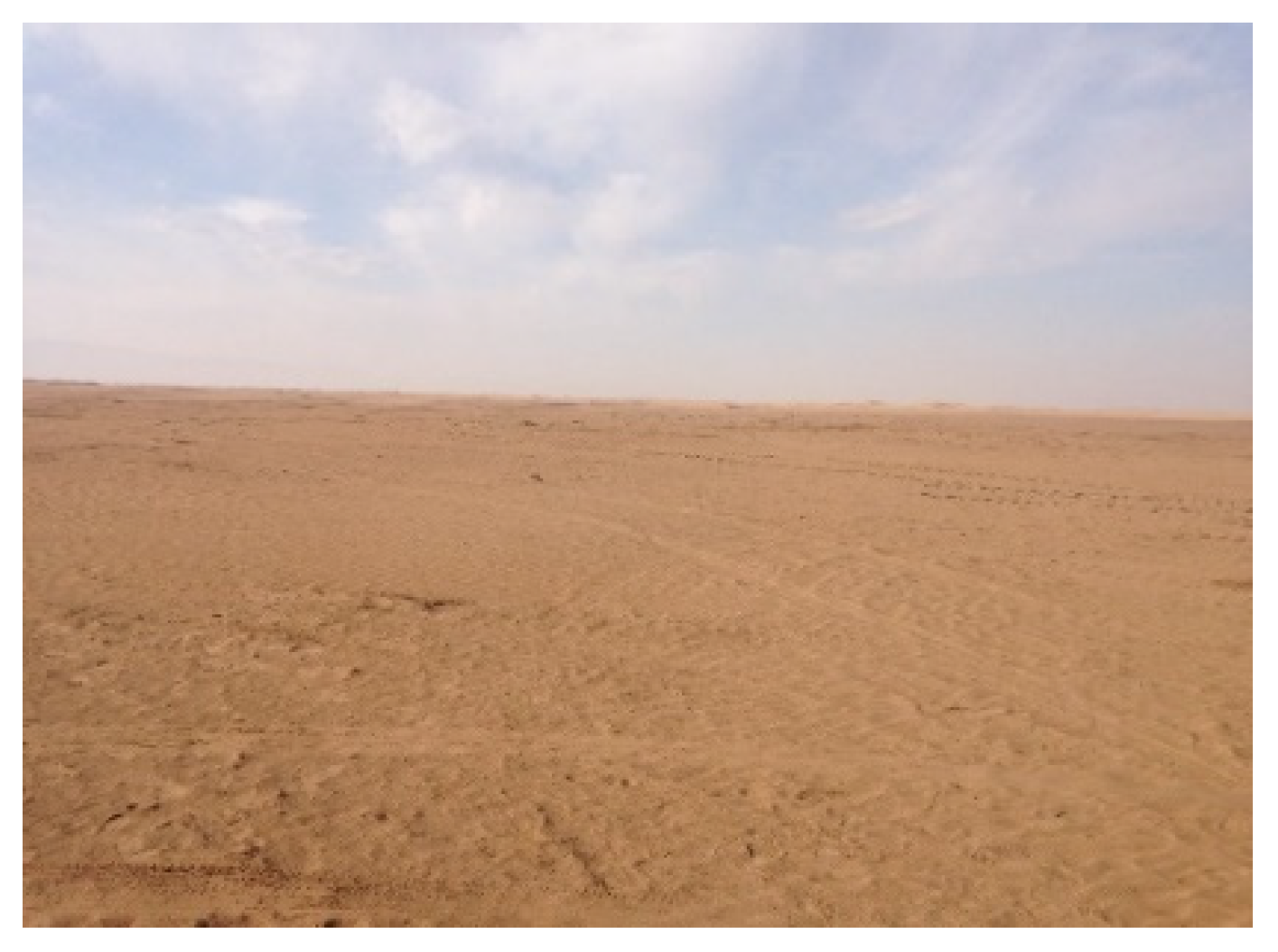 Remotesensing 12 02404 g001