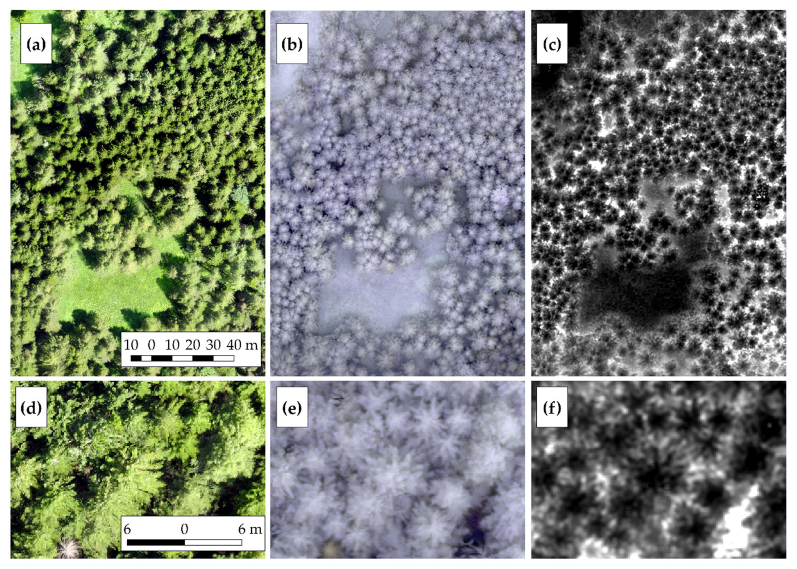 Remotesensing 12 02407 g006