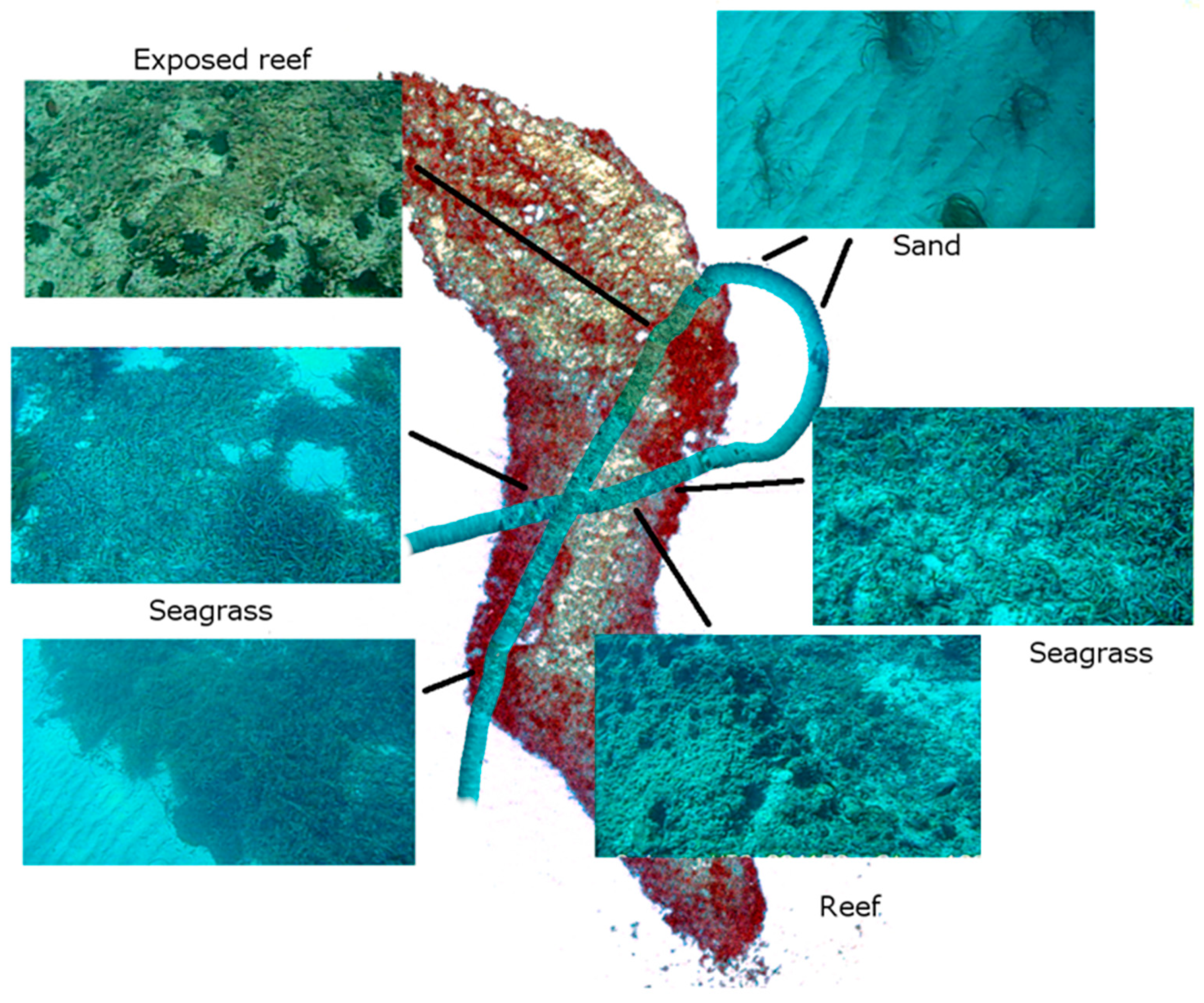 Remotesensing 12 02443 g003 Remotesensing 12 02443 g003