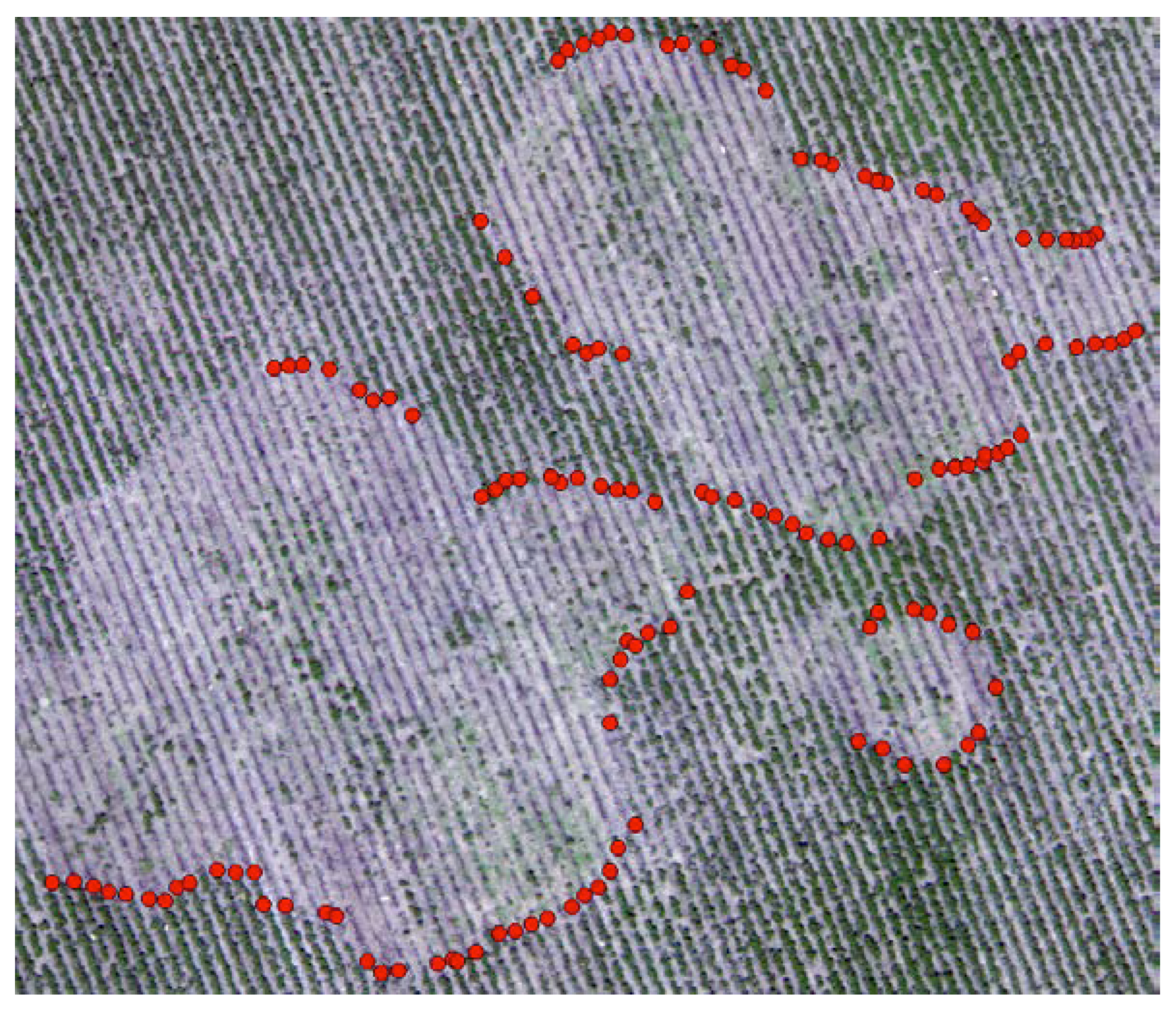 Remotesensing 12 02453 g003 Remotesensing 12 02453 g003