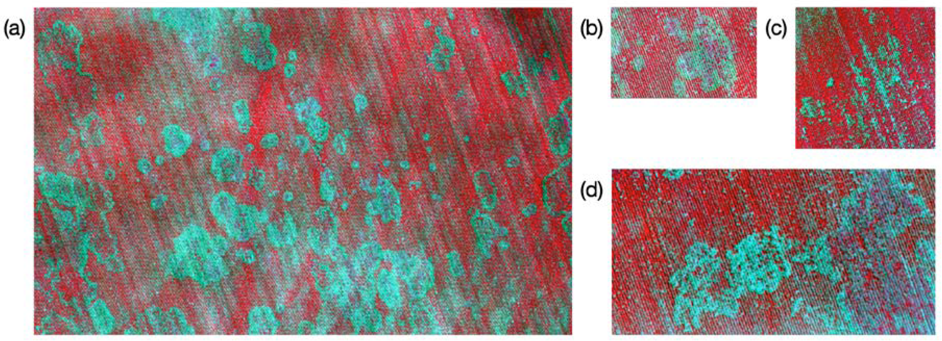 Remotesensing 12 02453 g005 Remotesensing 12 02453 g005