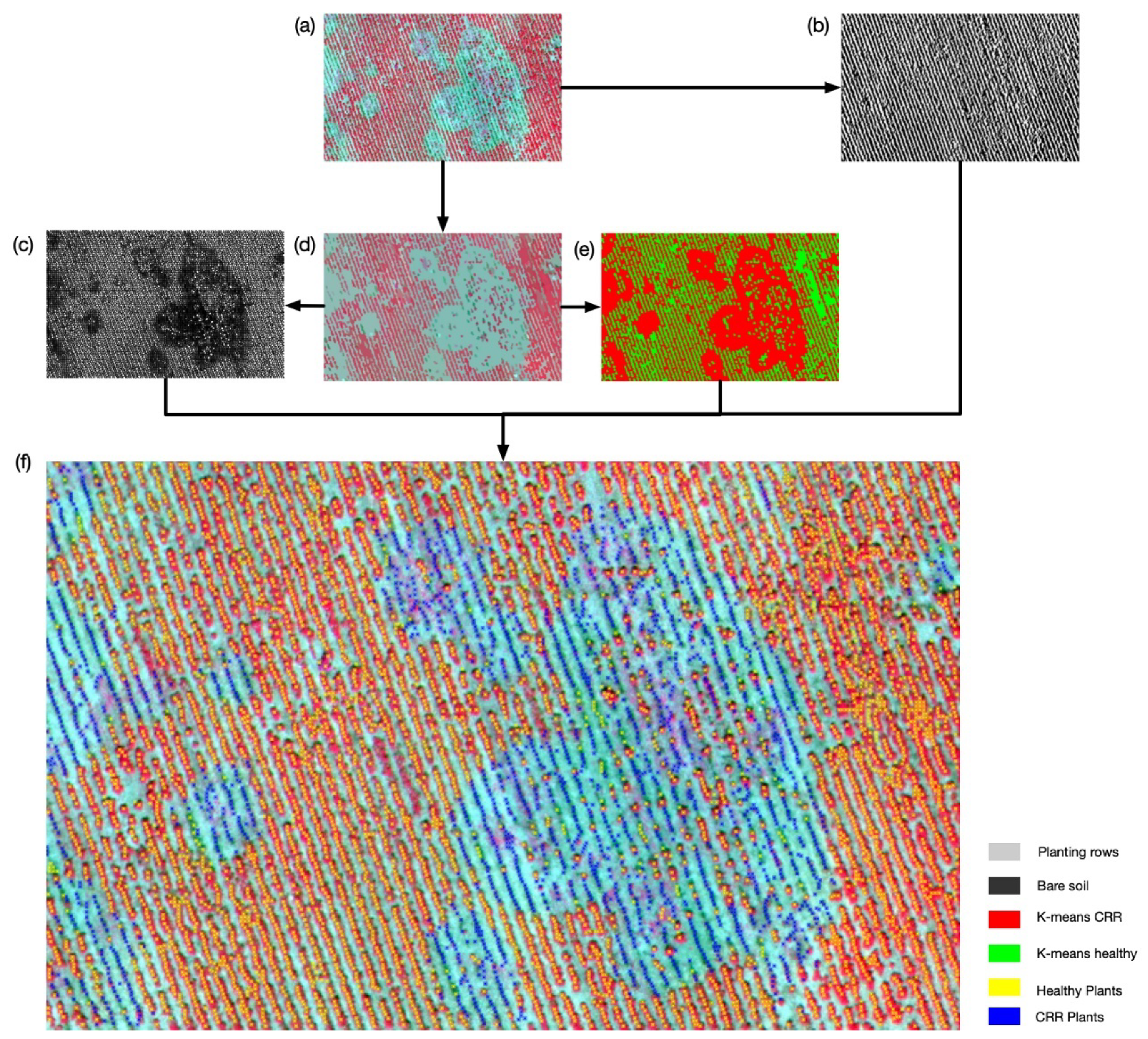Remotesensing 12 02453 g010 Remotesensing 12 02453 g010