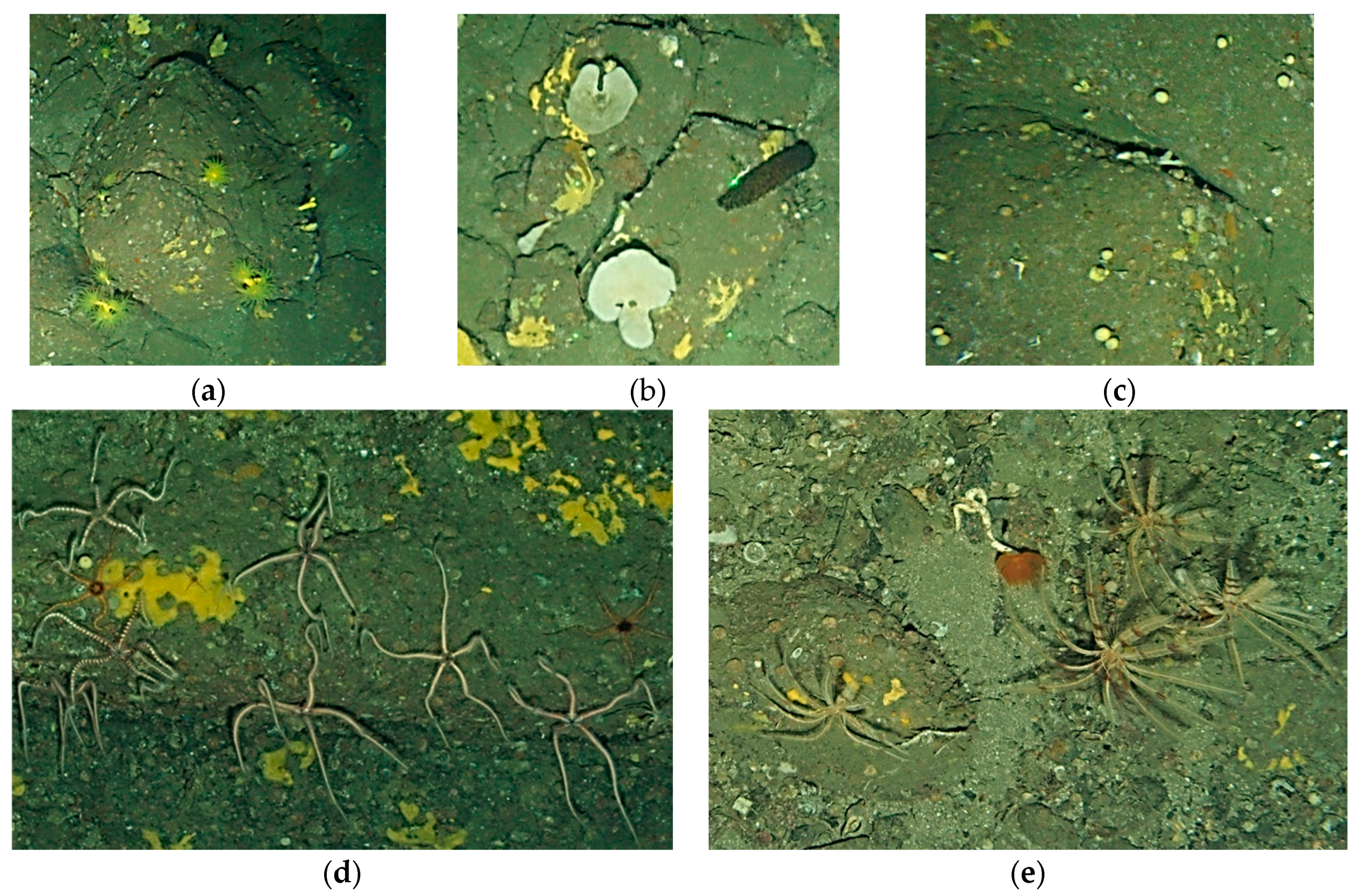 Remotesensing 12 02466 g005