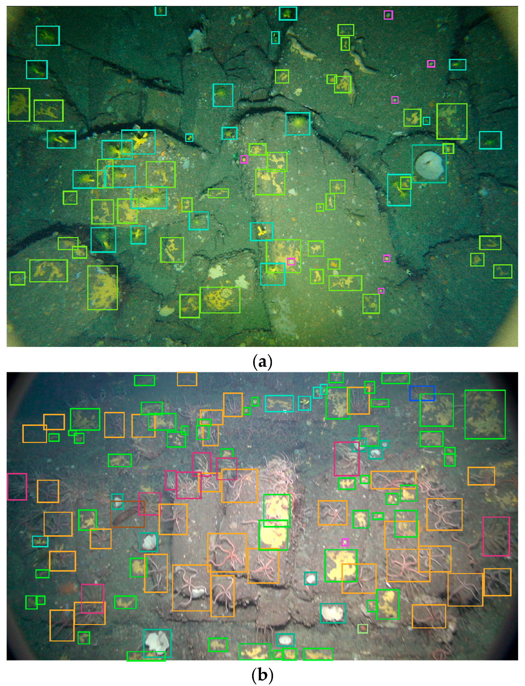 Remotesensing 12 02466 g006