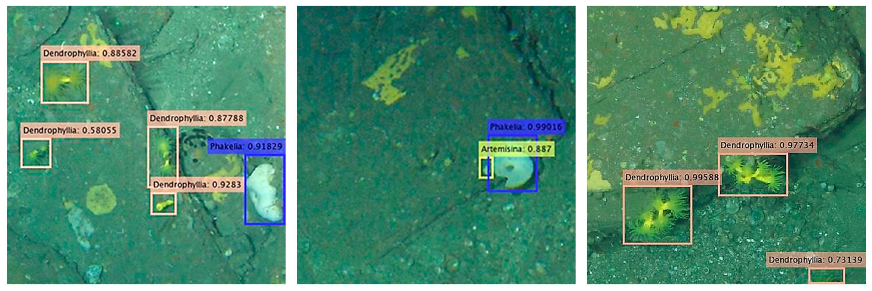 Remotesensing 12 02466 g015