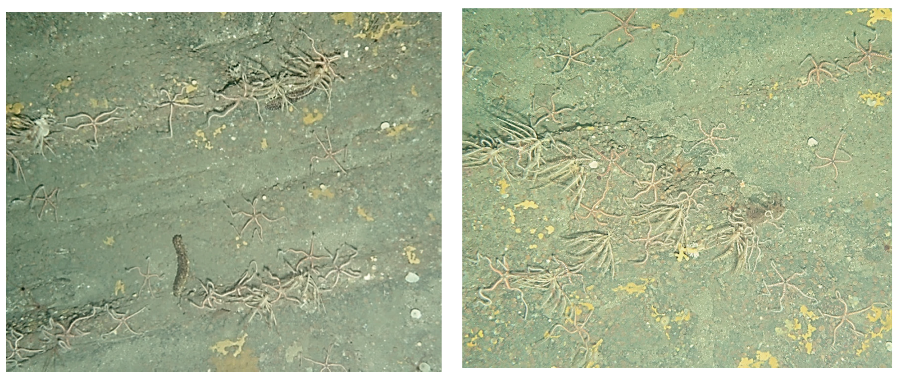 Remotesensing 12 02466 g016