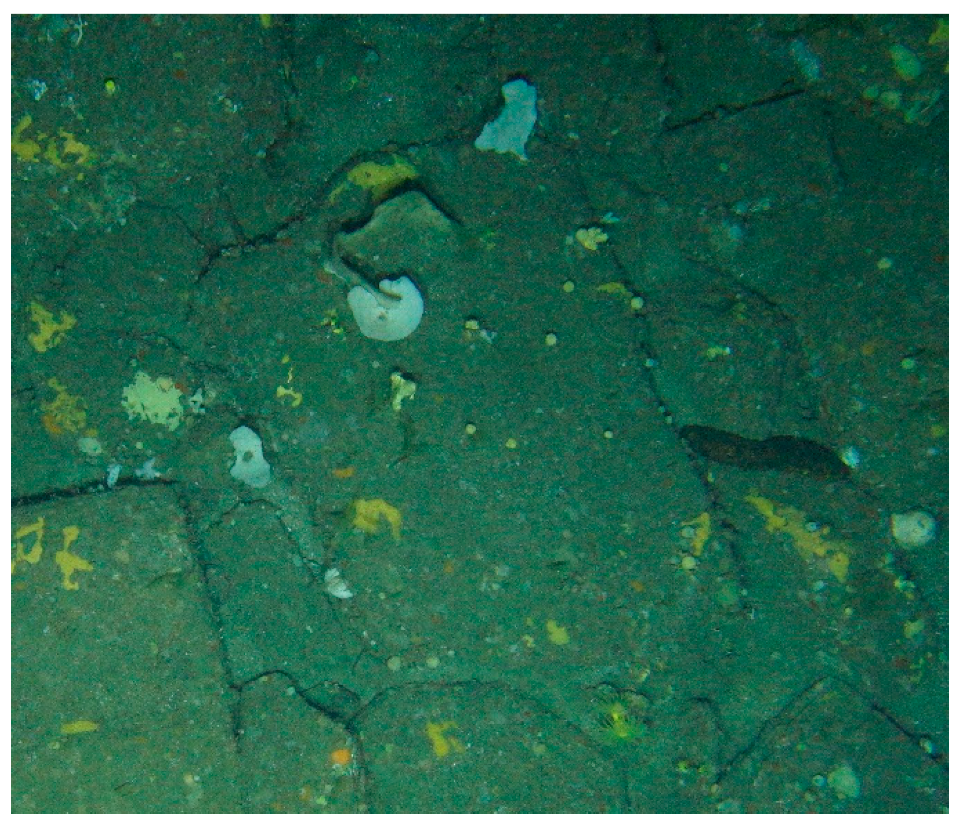 Remotesensing 12 02466 g017