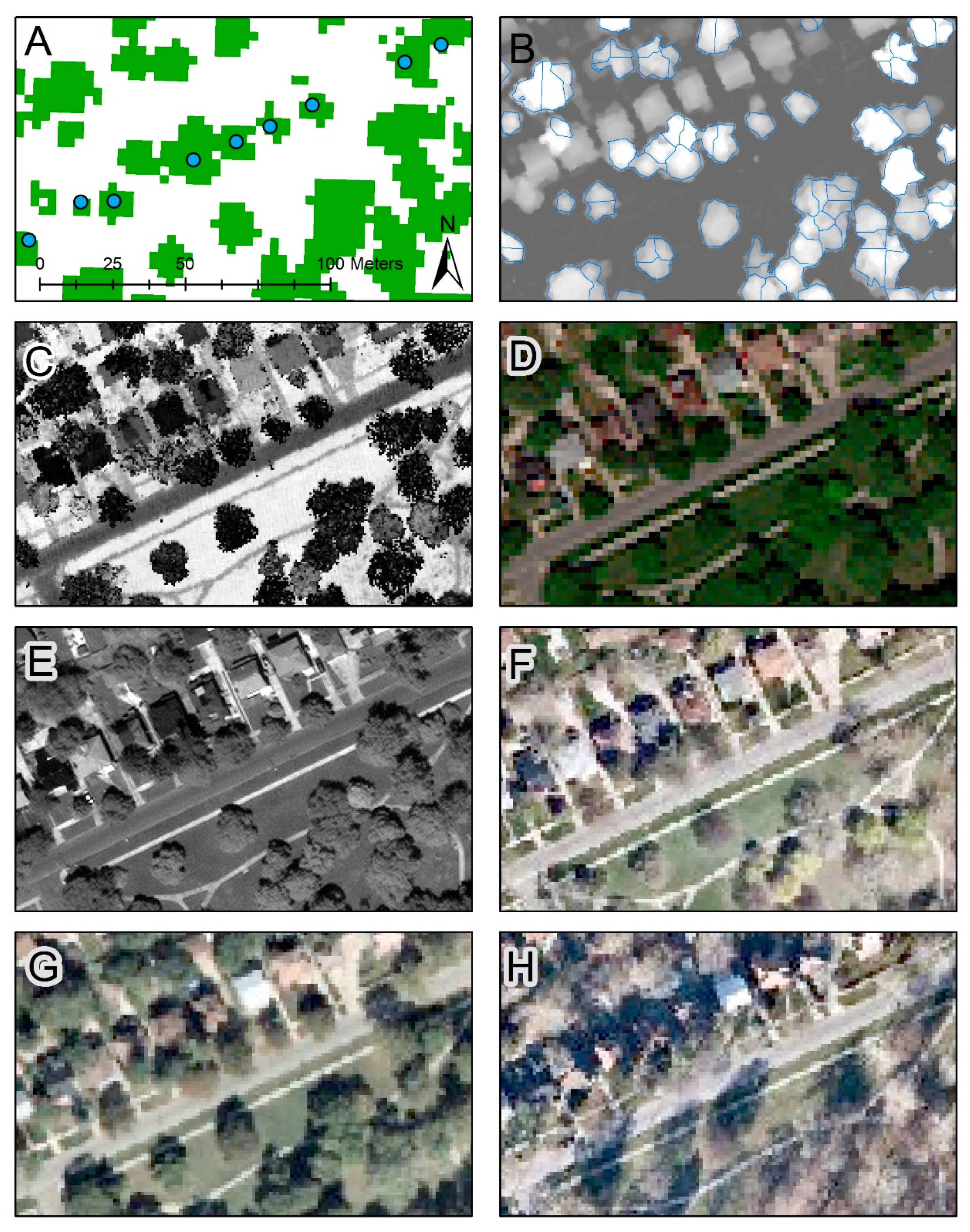 Remotesensing 12 02475 g003