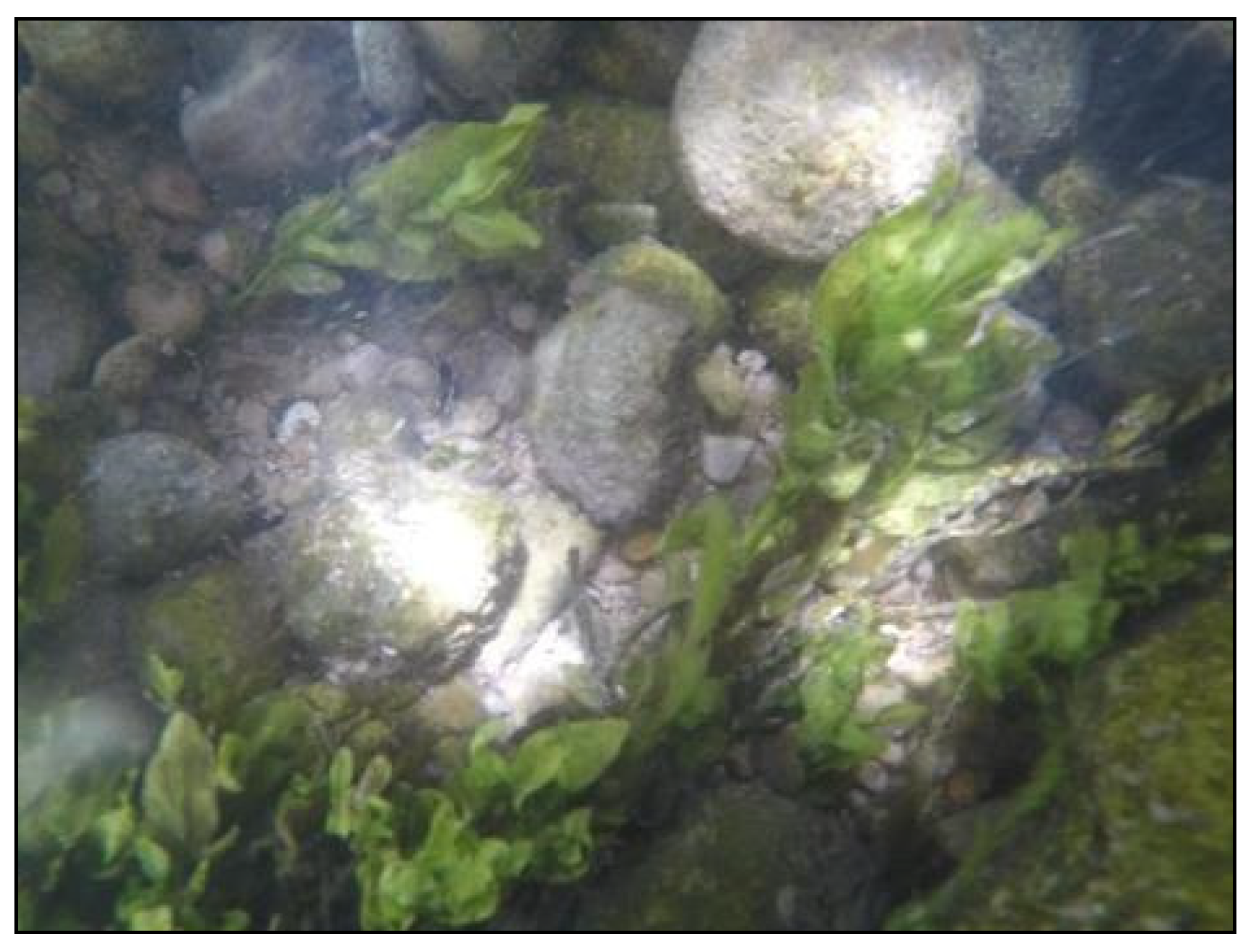 Remotesensing 12 02491 g005 Remotesensing 12 02491 g005