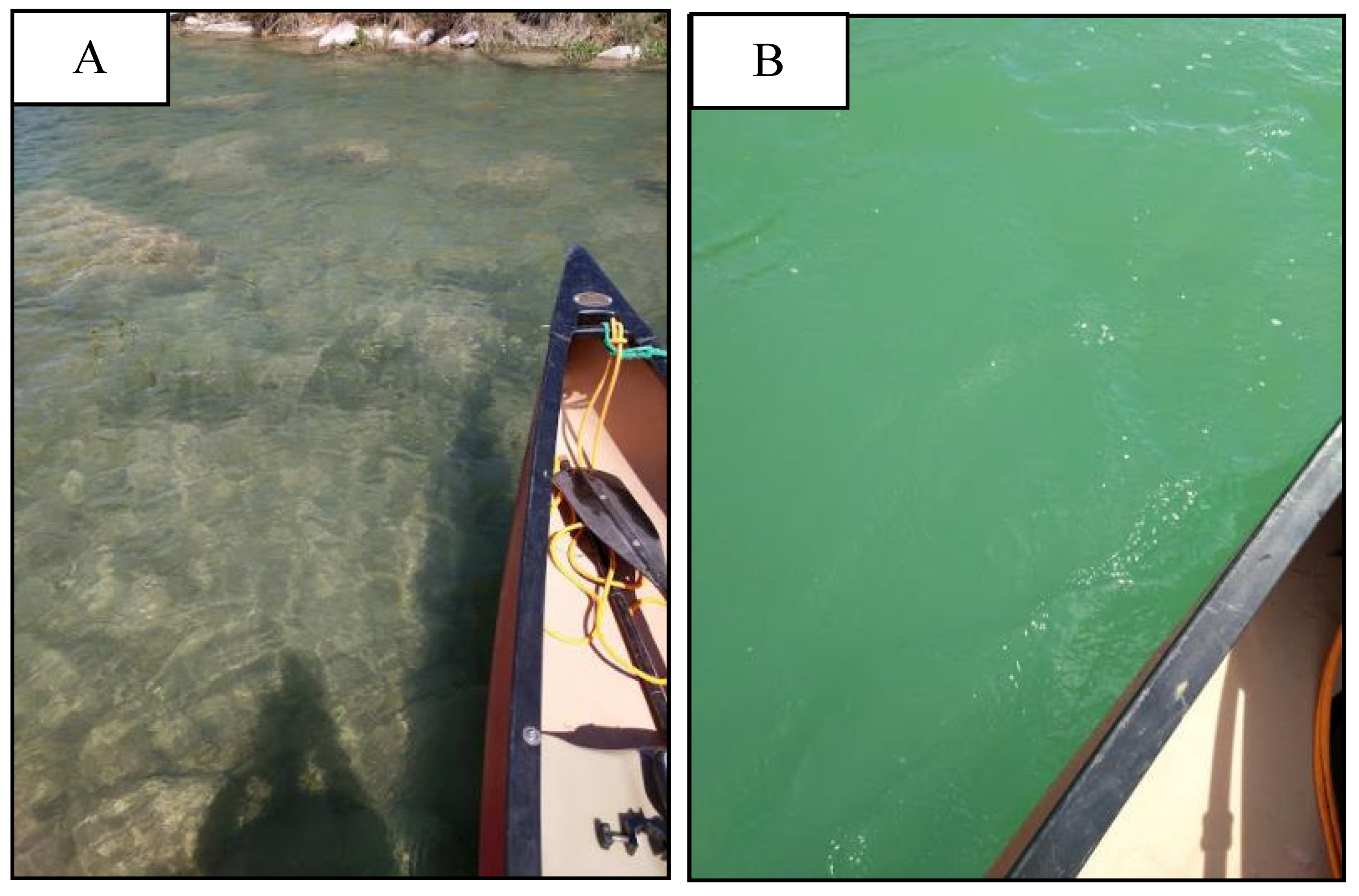 Remotesensing 12 02491 g012 Remotesensing 12 02491 g012