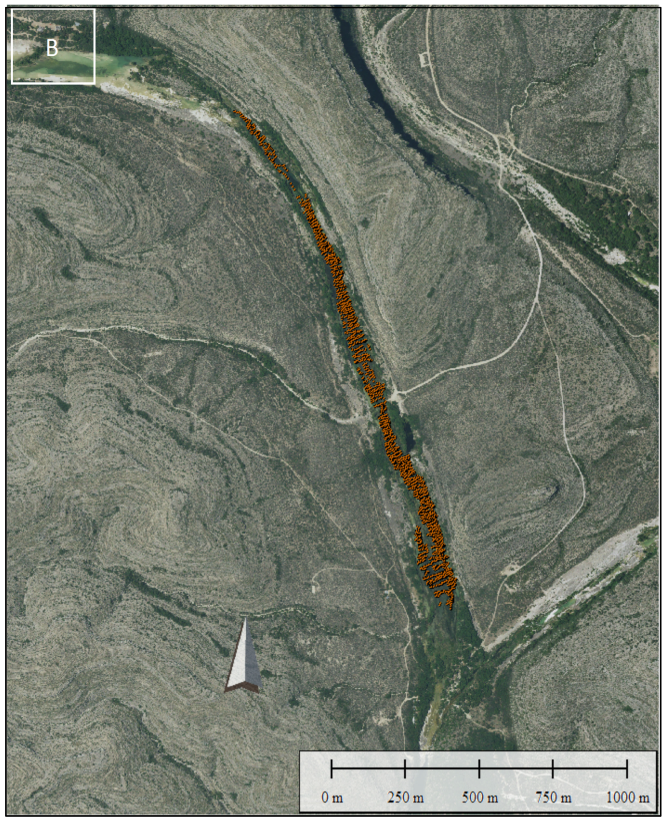 Remotesensing 12 02491 g020b Remotesensing 12 02491 g020b