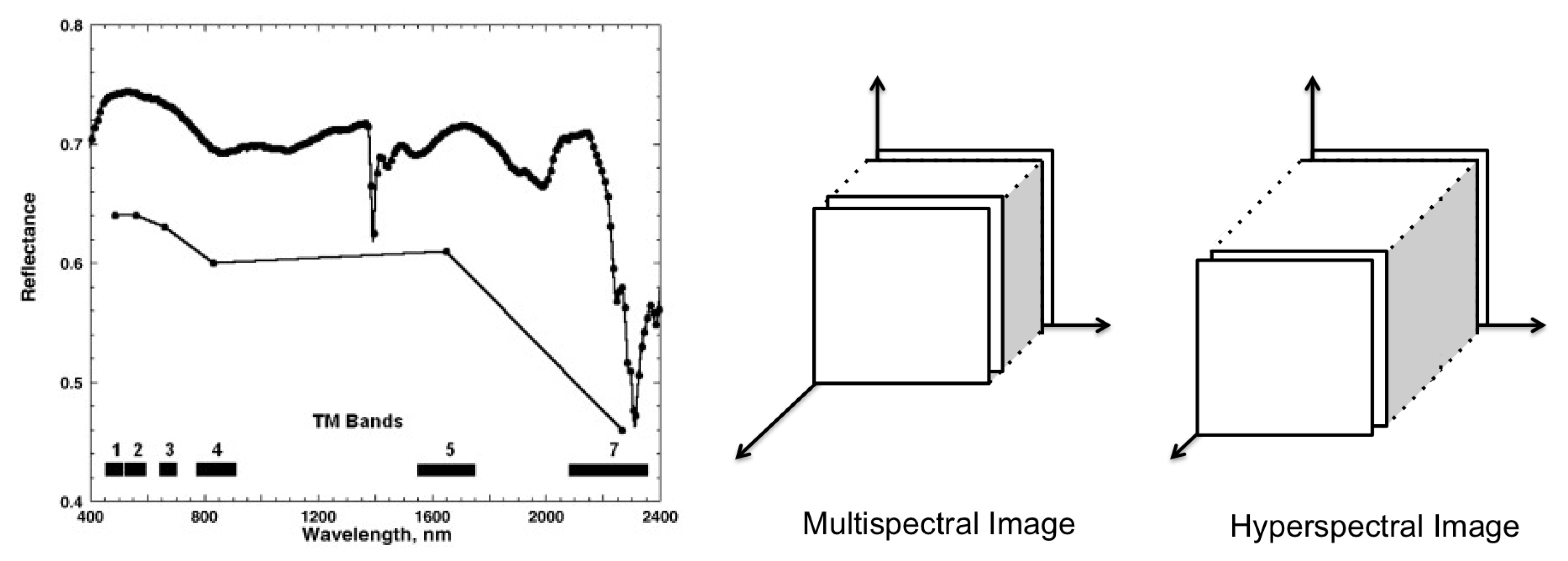 Remotesensing 12 02495 g003