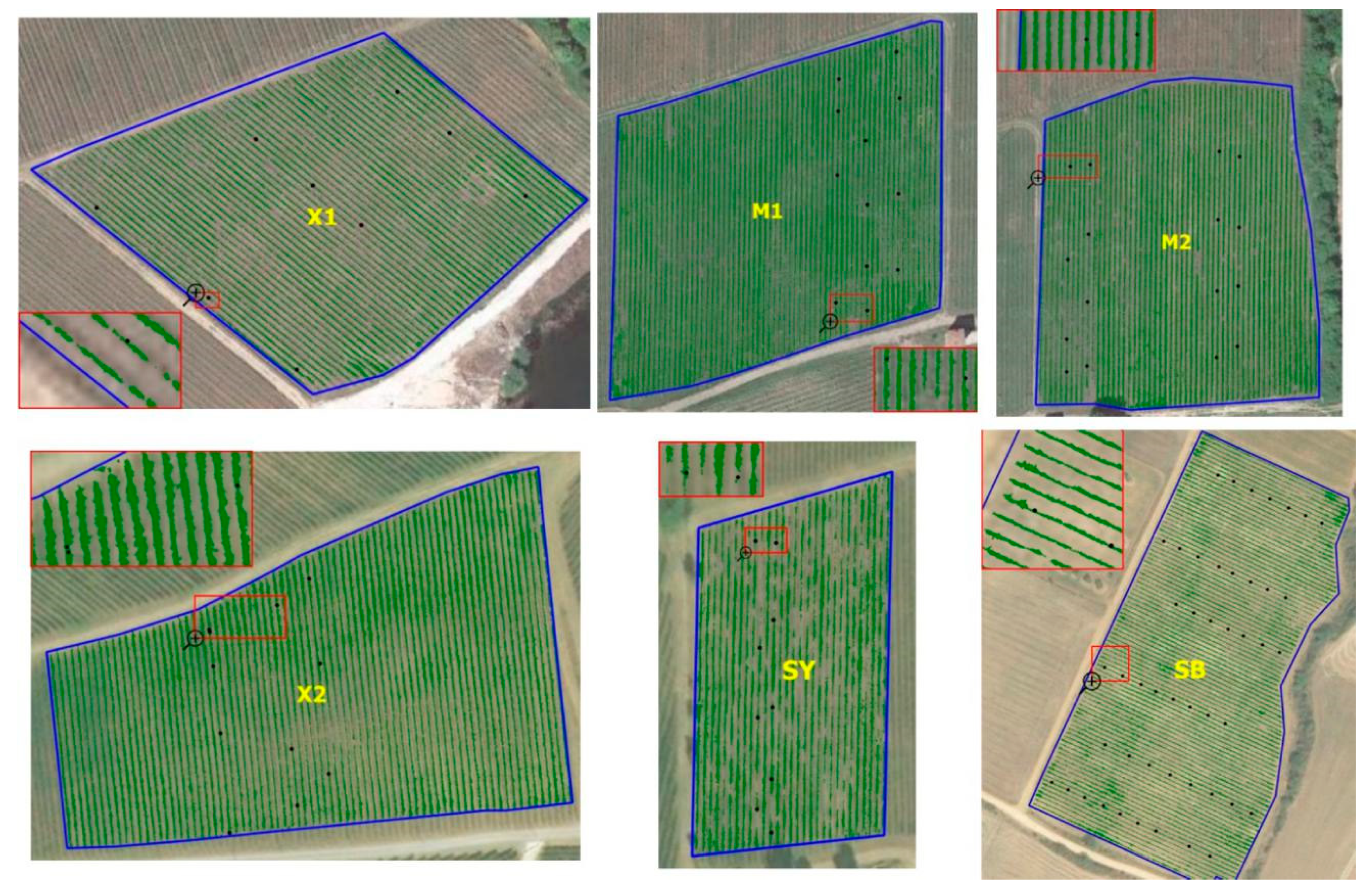 Remotesensing 12 02499 g003 Remotesensing 12 02499 g003