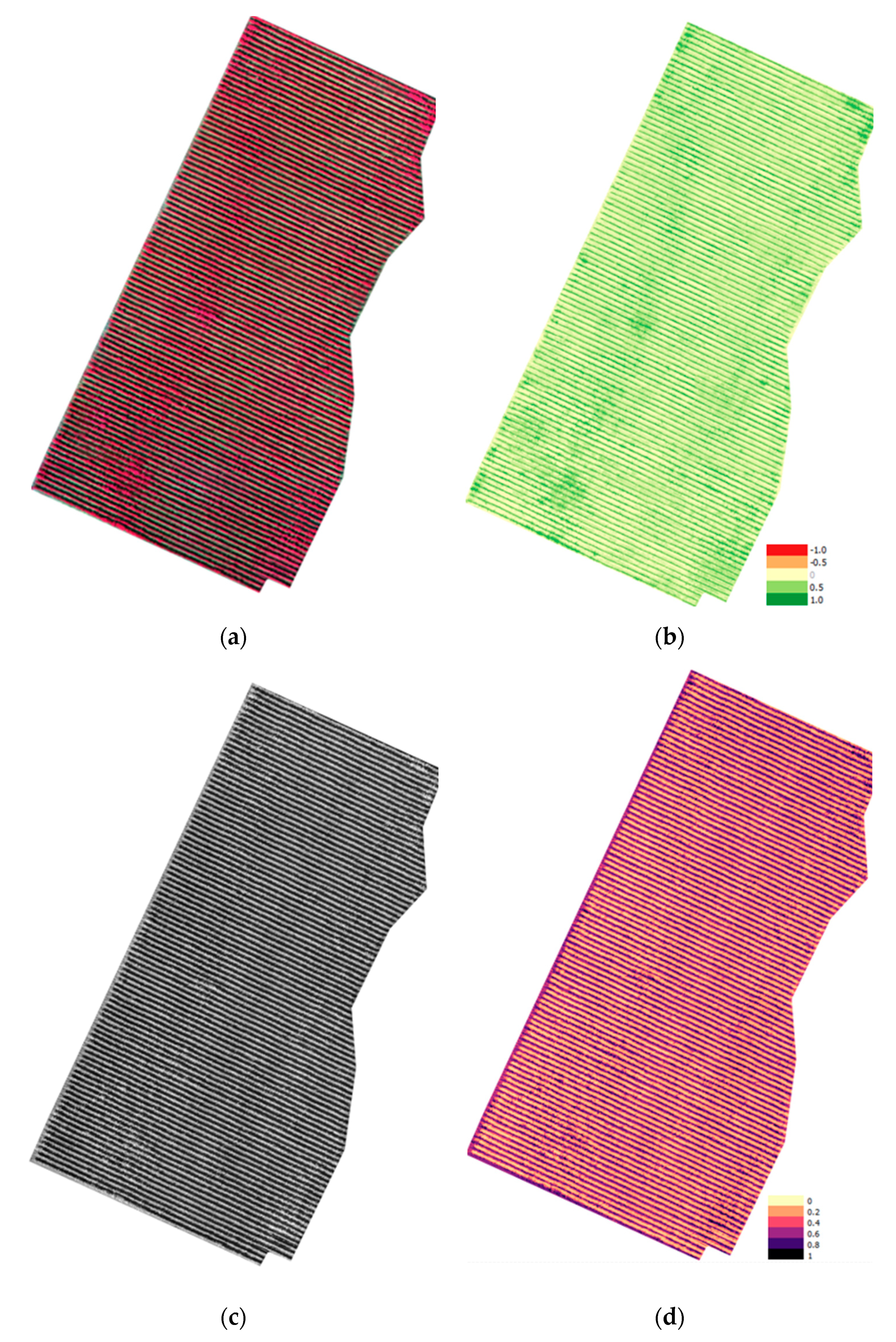 Remotesensing 12 02499 g004 Remotesensing 12 02499 g004