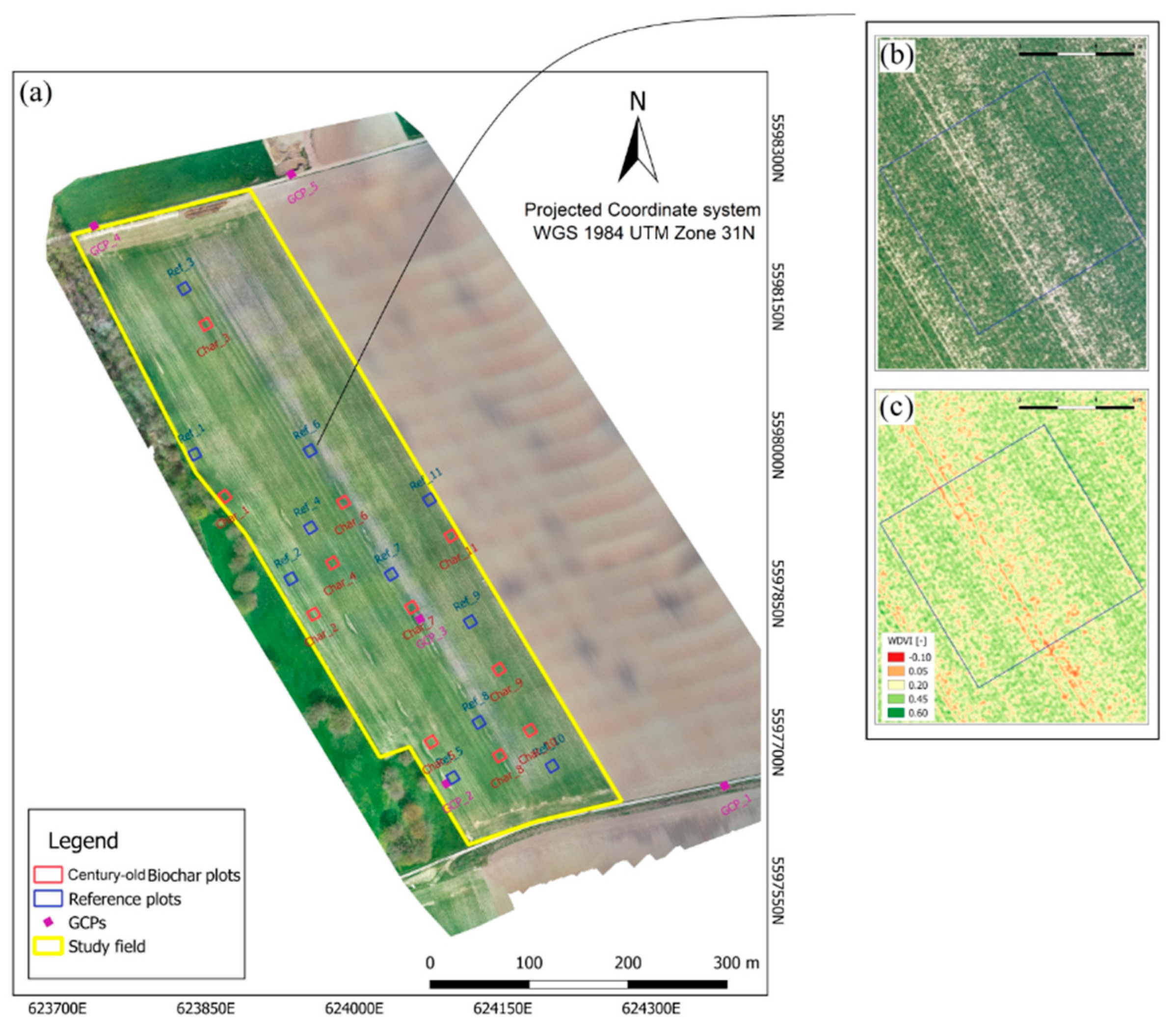 Remotesensing 12 02504 g001