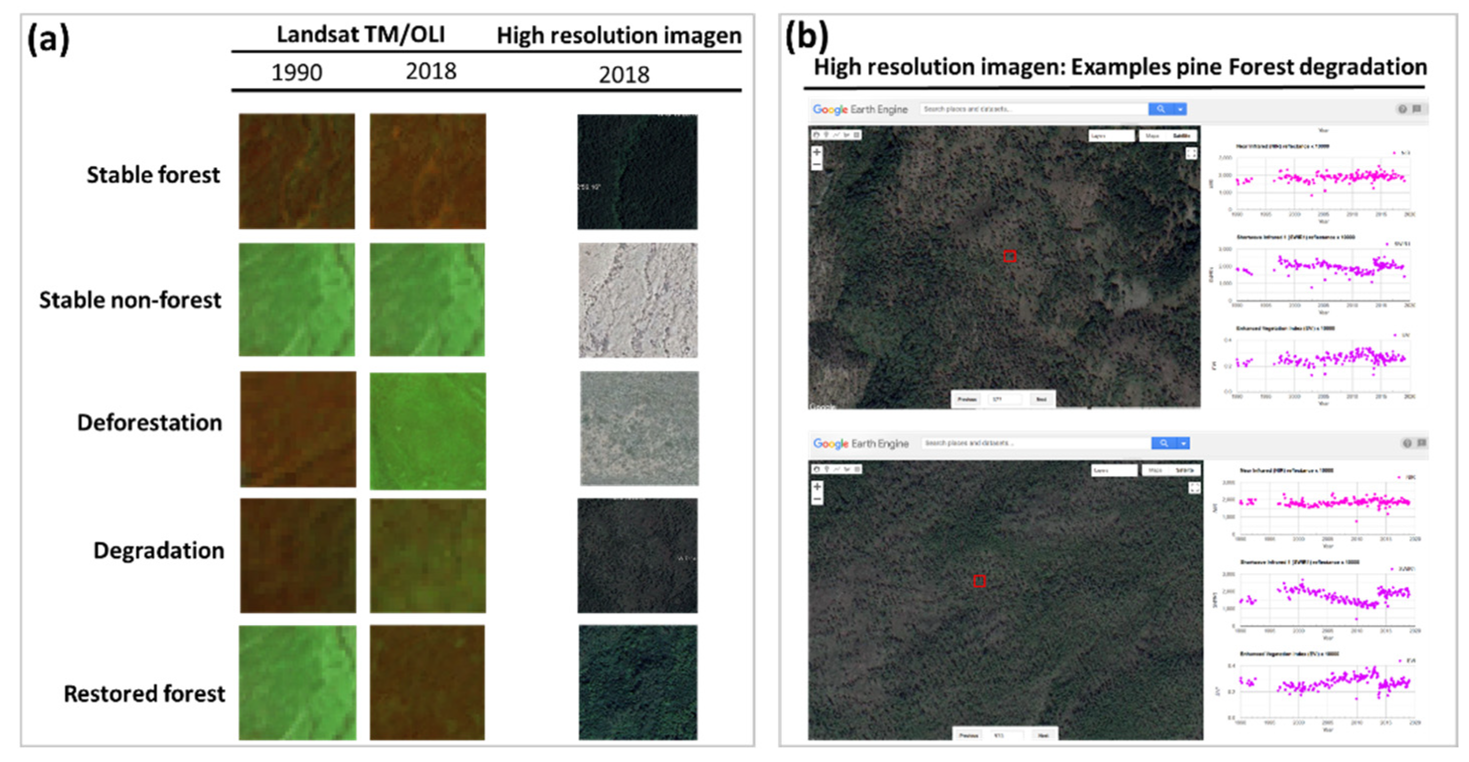 Remotesensing 12 02531 g006