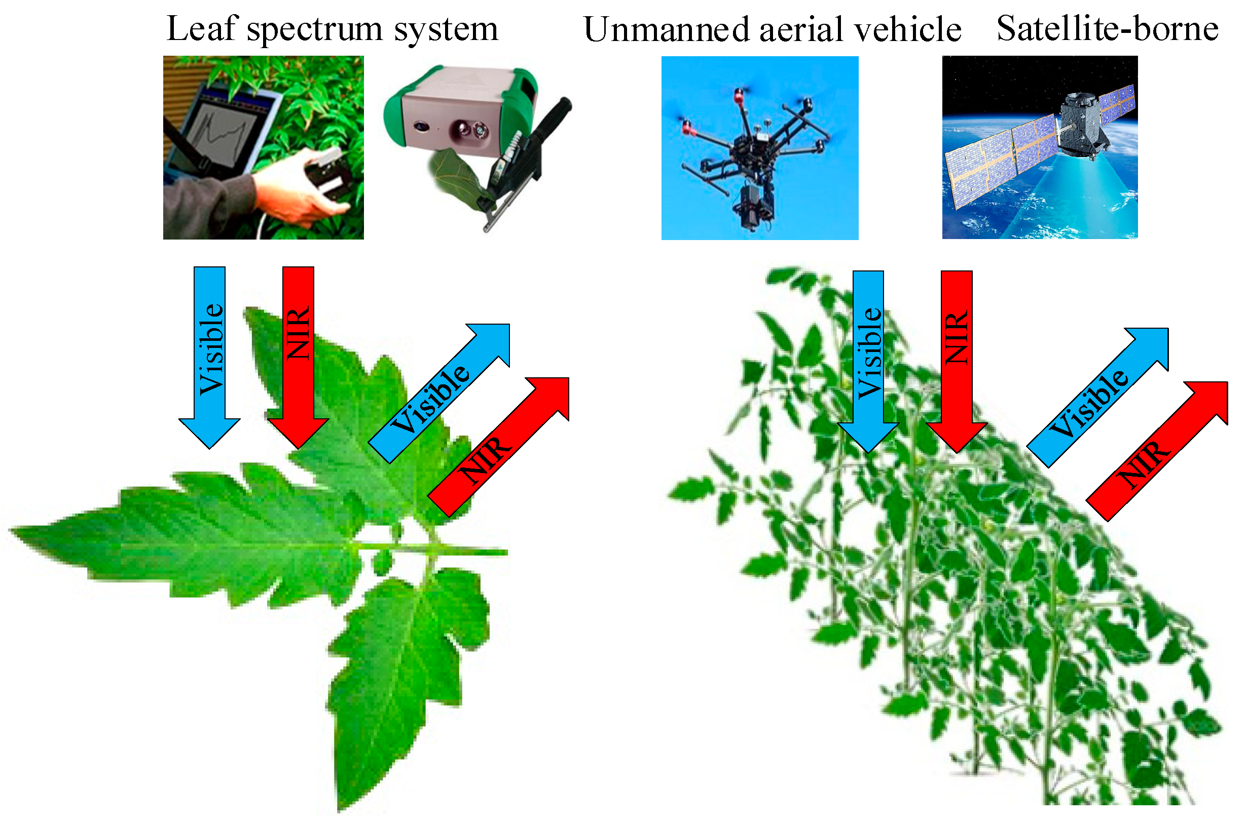 Remotesensing 12 02578 g003 Remotesensing 12 02578 g003