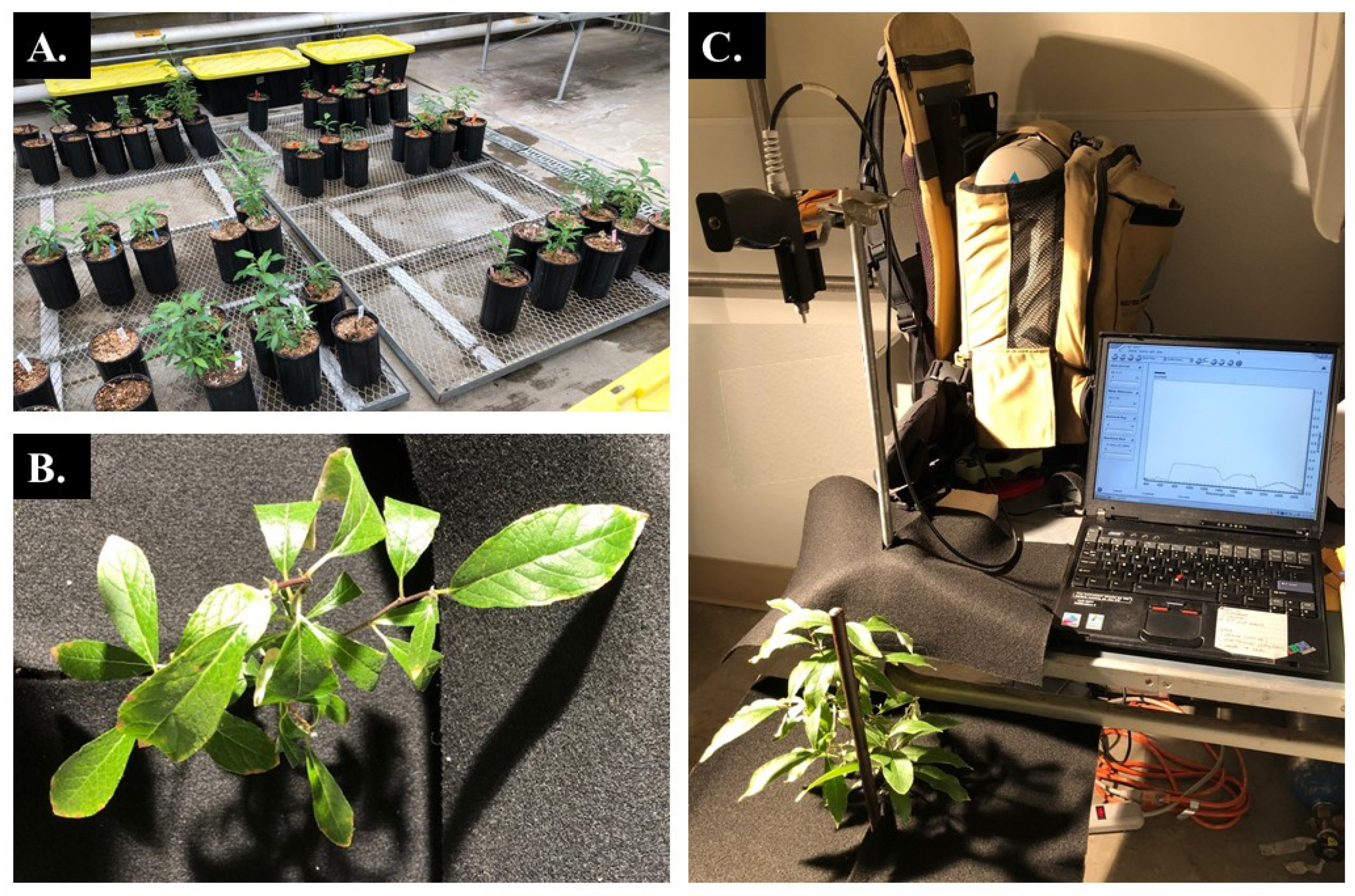 Remotesensing 12 02579 g001