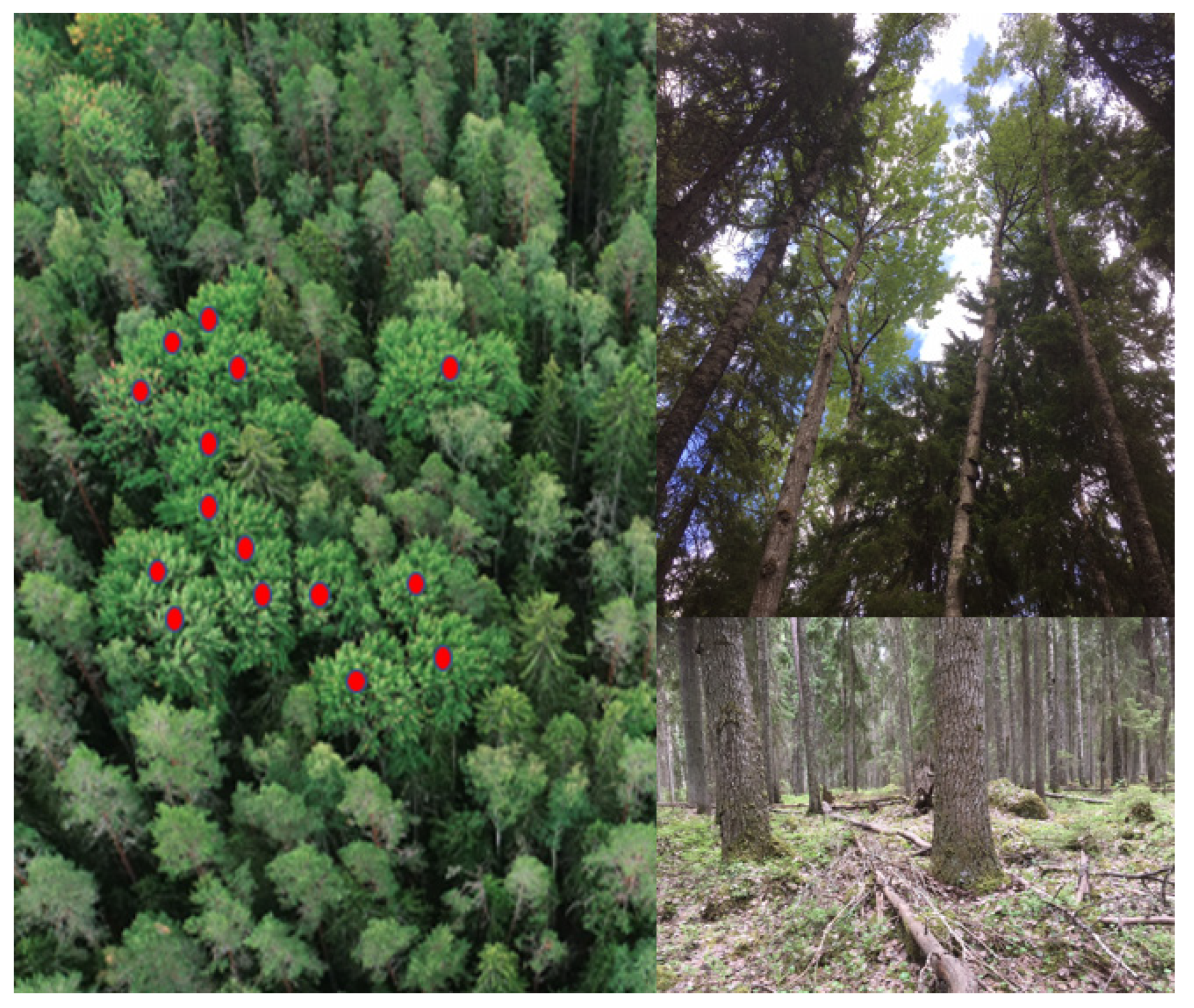 Remotesensing 12 02610 g002 Remotesensing 12 02610 g002