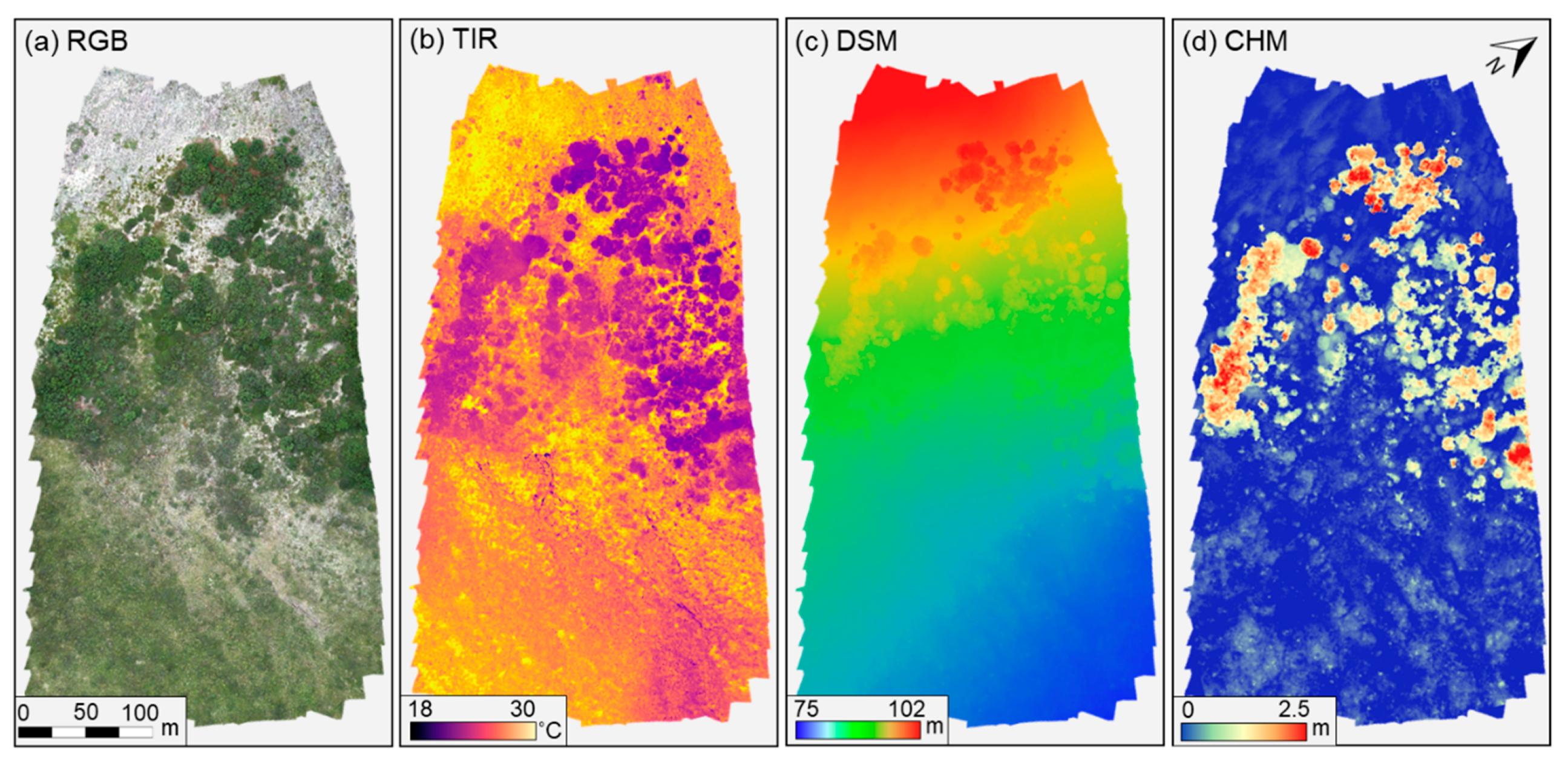 Remotesensing 12 02638 g004 Remotesensing 12 02638 g004