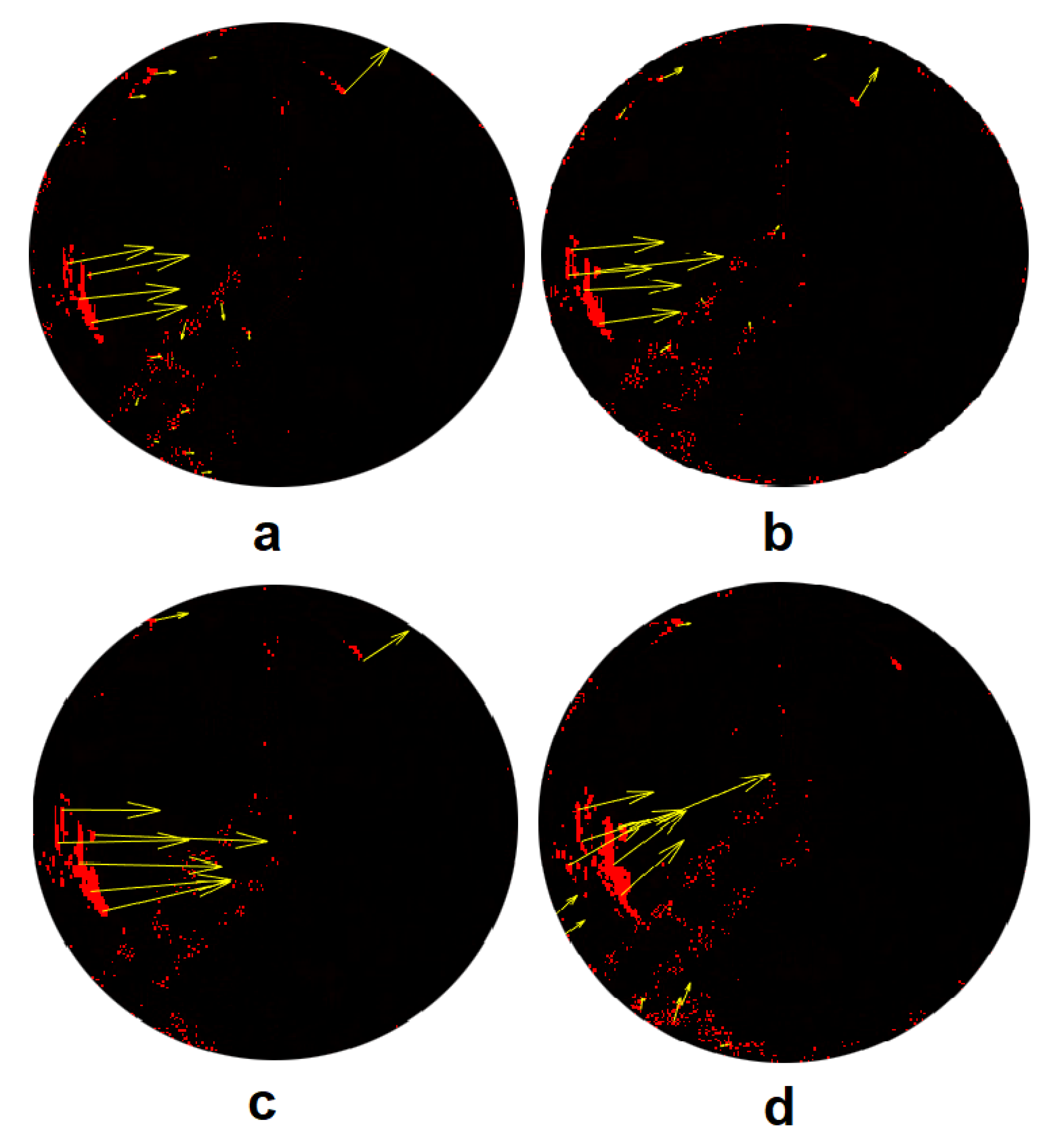 Remotesensing 12 02643 g004