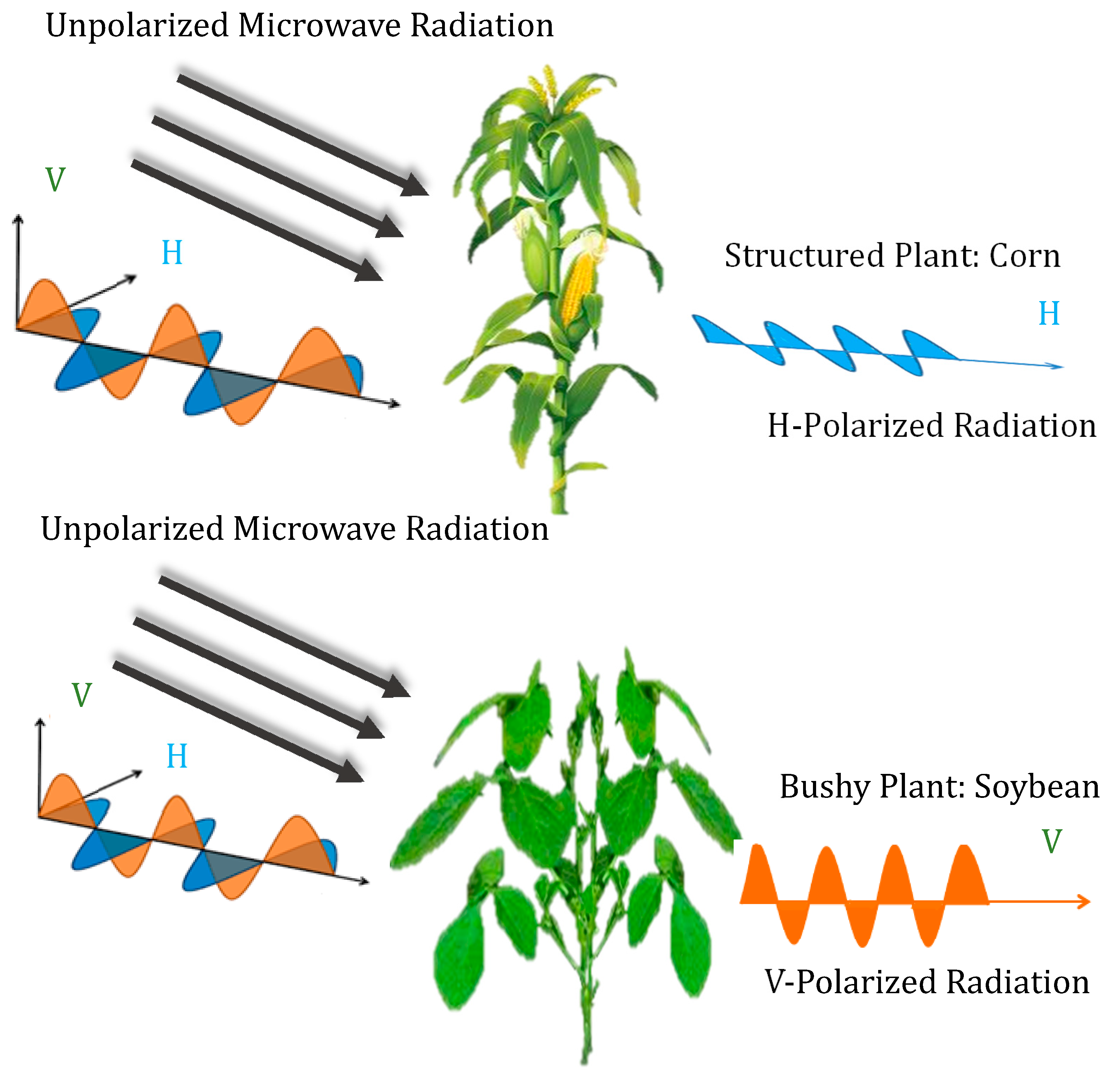 Remotesensing 12 02645 g002