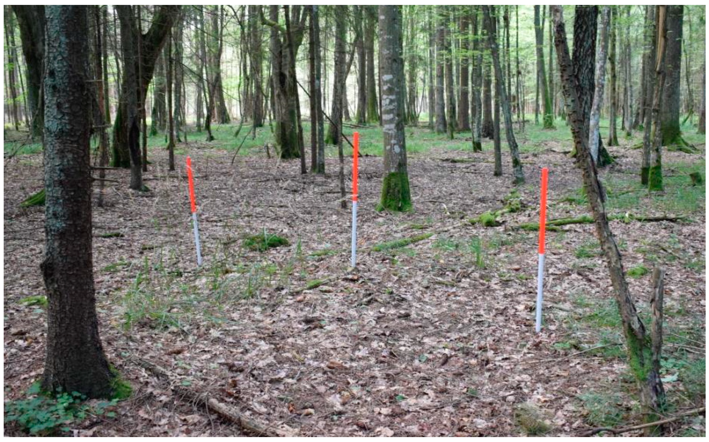 Remotesensing 12 02657 g006