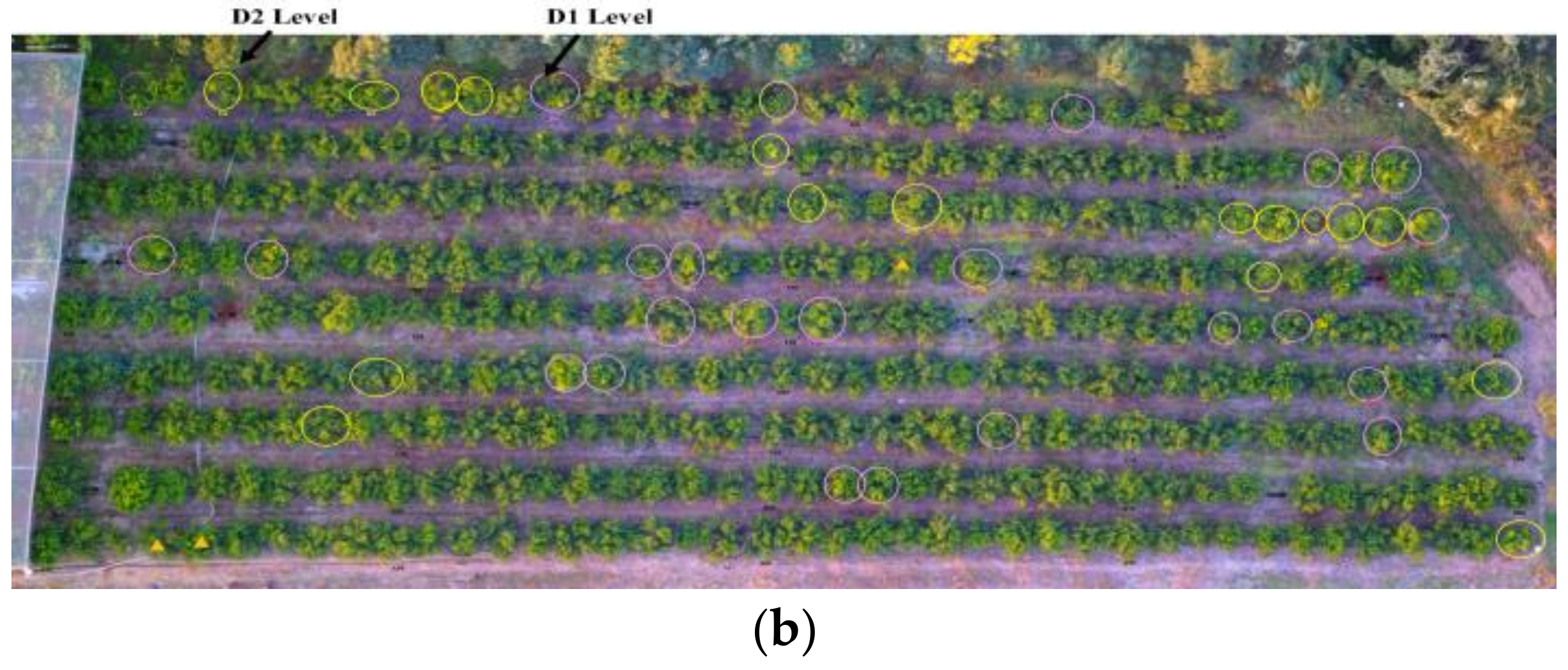 Remotesensing 12 02678 g001b