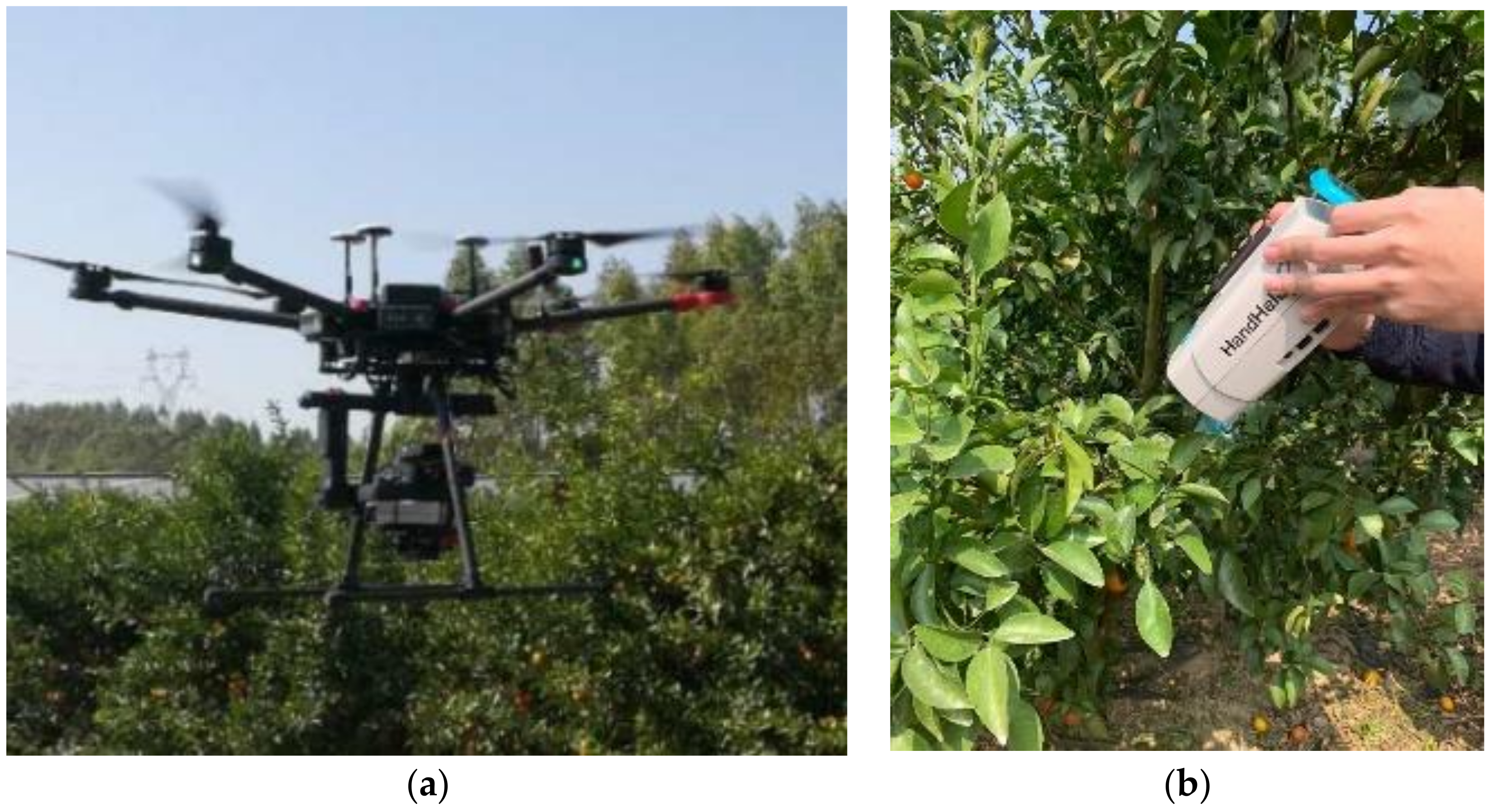 Remotesensing 12 02678 g002