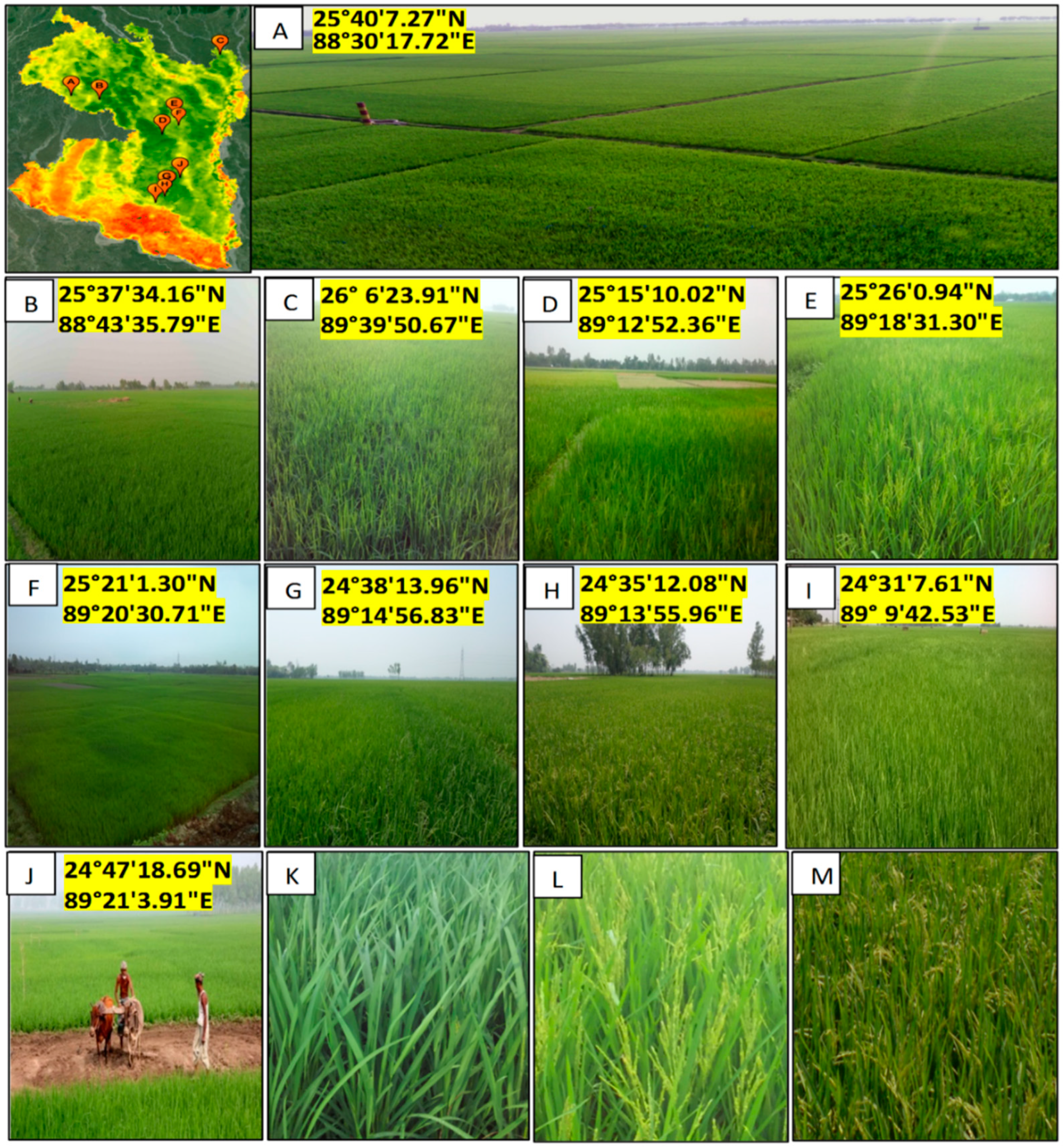 Remotesensing 12 02686 g007