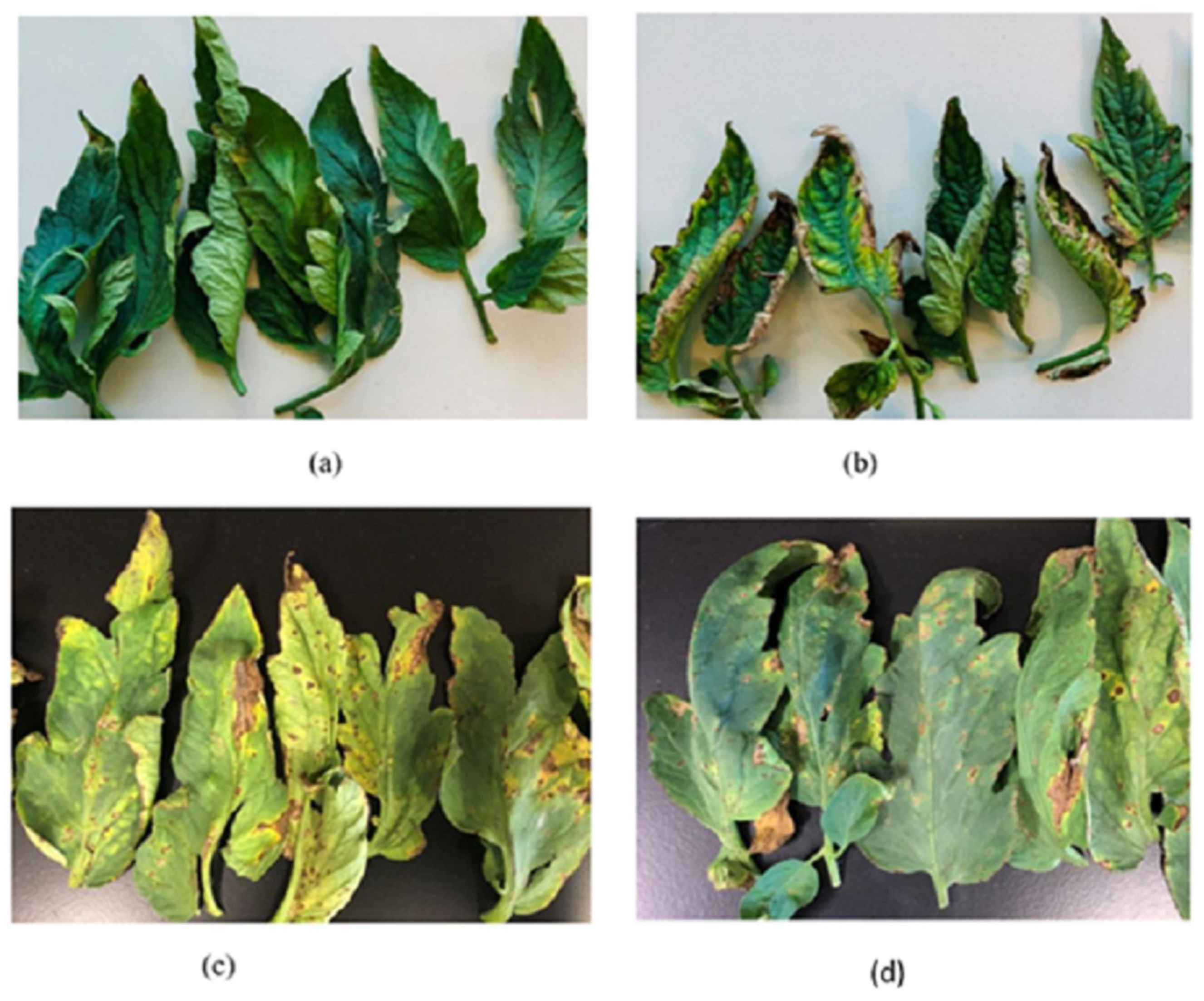 Remotesensing 12 02732 g001 Remotesensing 12 02732 g001