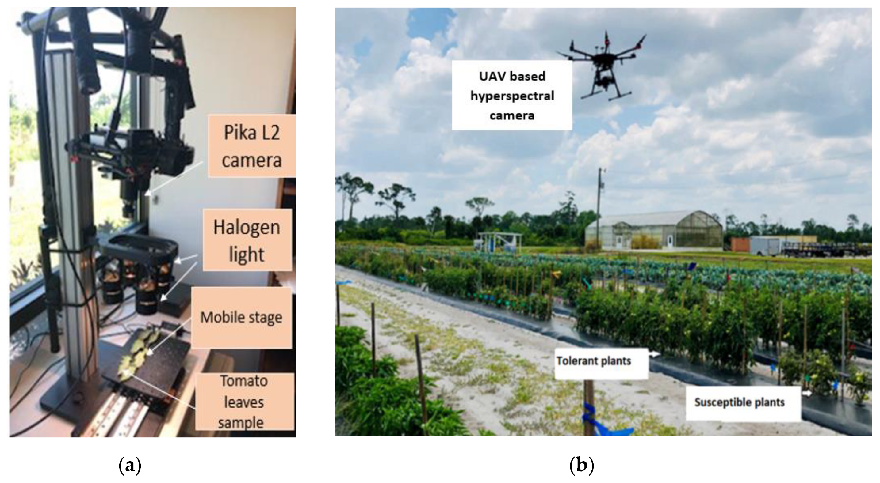 Remotesensing 12 02732 g002 Remotesensing 12 02732 g002