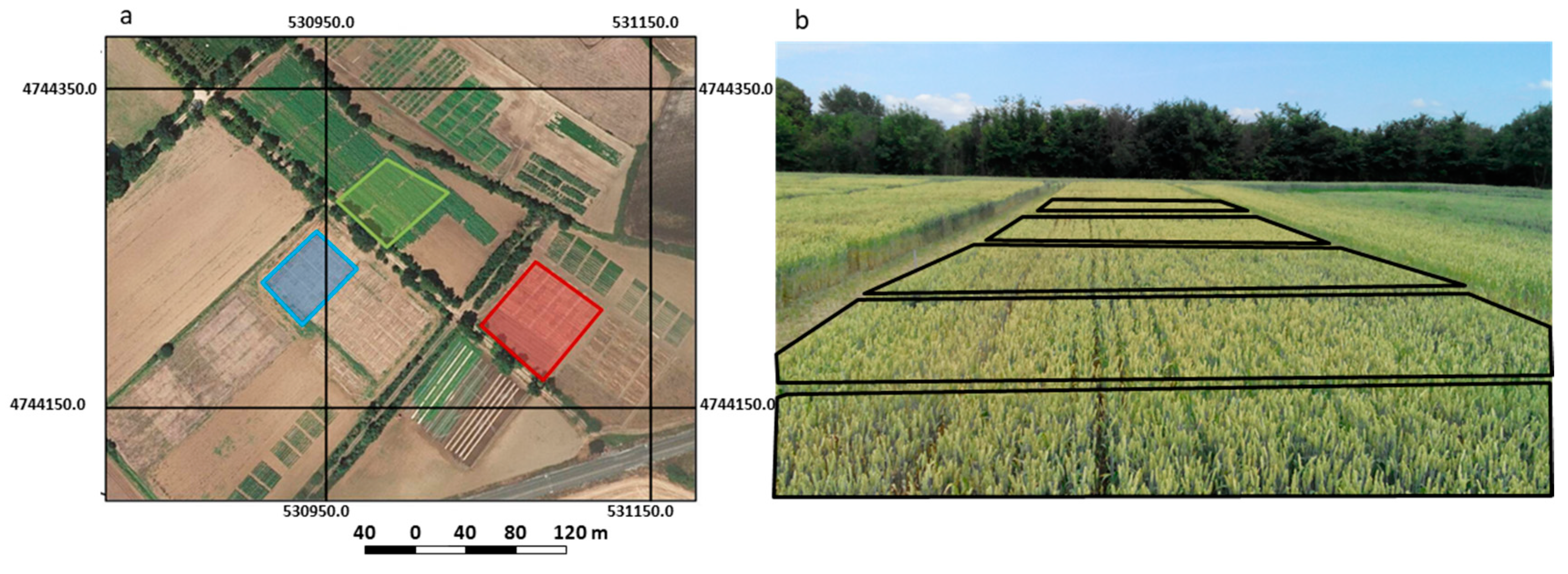 Remotesensing 12 02749 g001