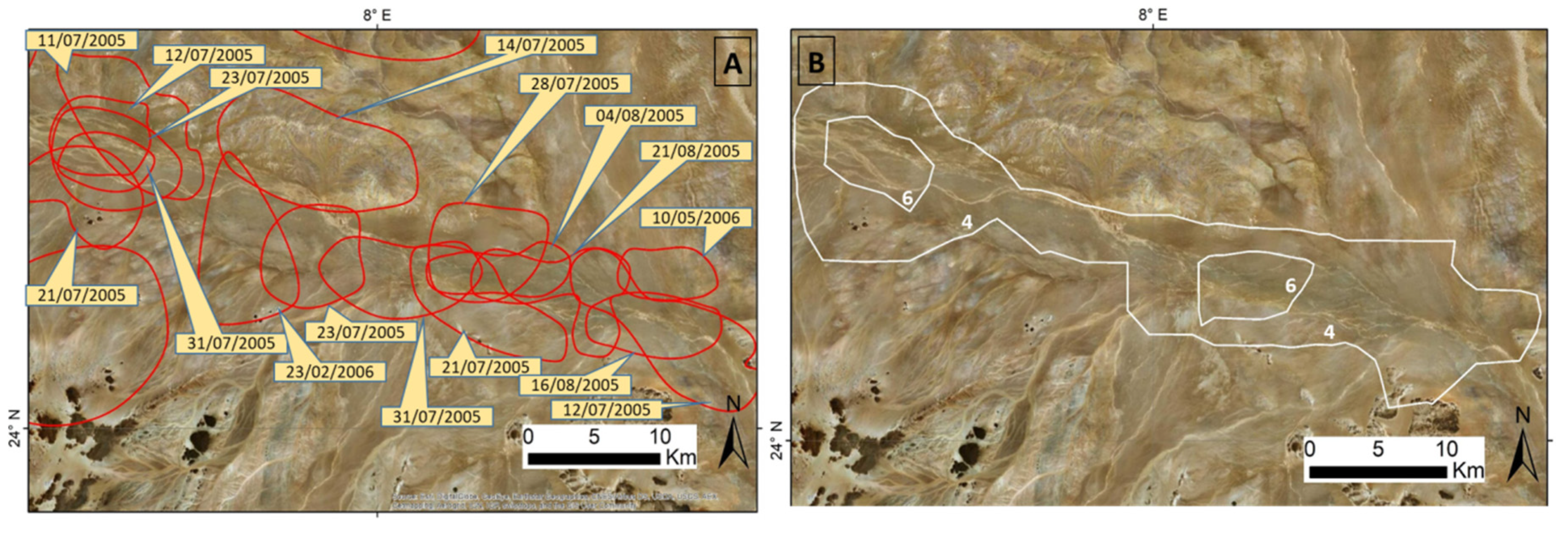 Remotesensing 12 02775 g002