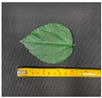 Remotesensing 12 02855 i004 Remotesensing 12 02855 i004