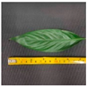 Remotesensing 12 02855 i005 Remotesensing 12 02855 i005