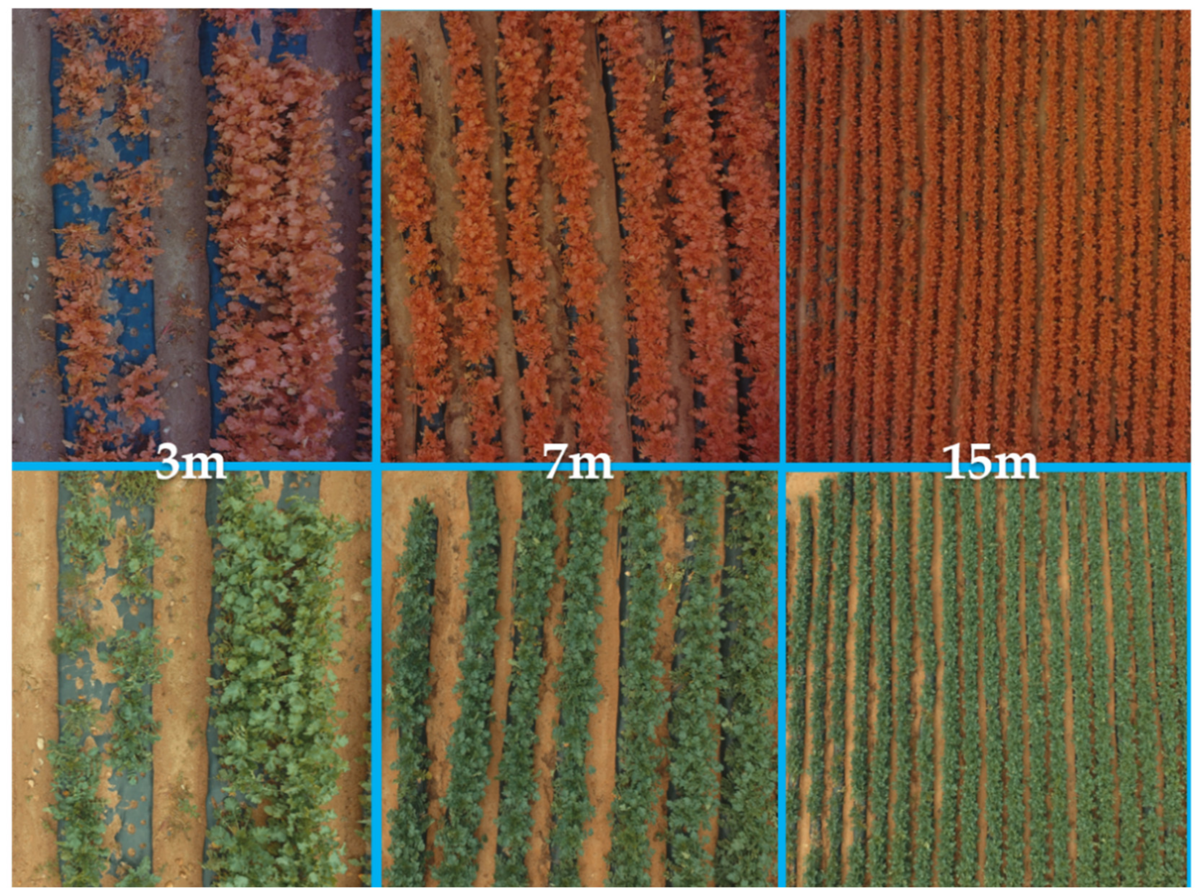 Remotesensing 12 02863 g001