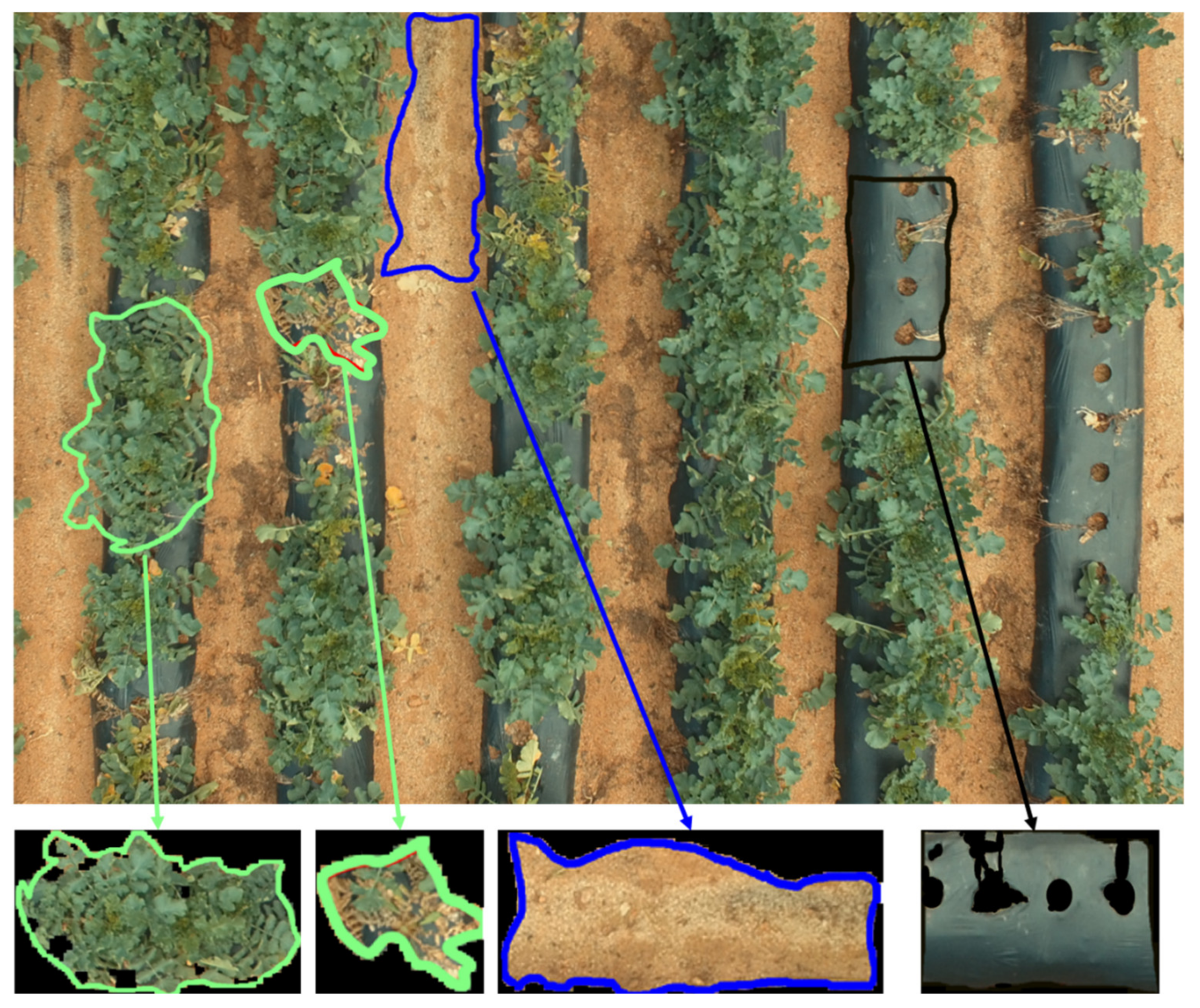 Remotesensing 12 02863 g003