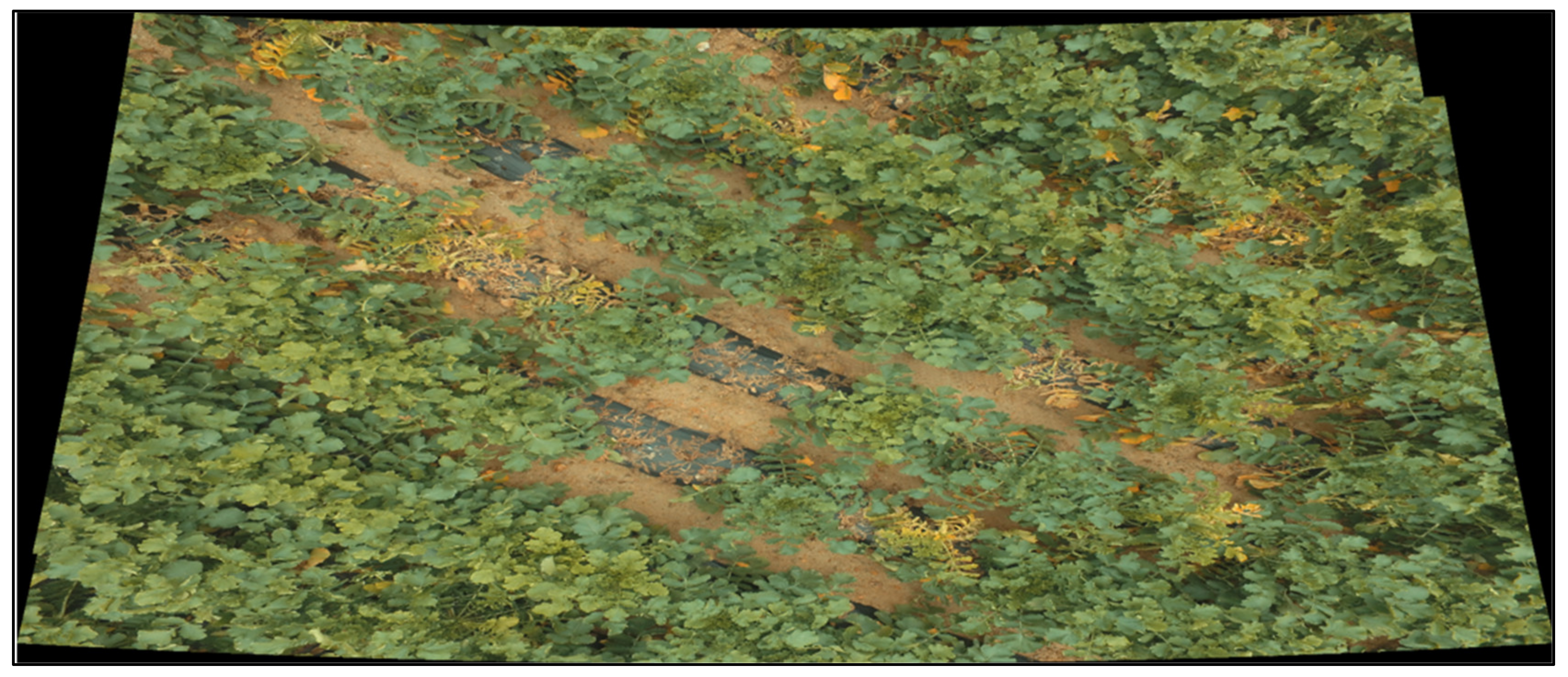 Remotesensing 12 02863 g005