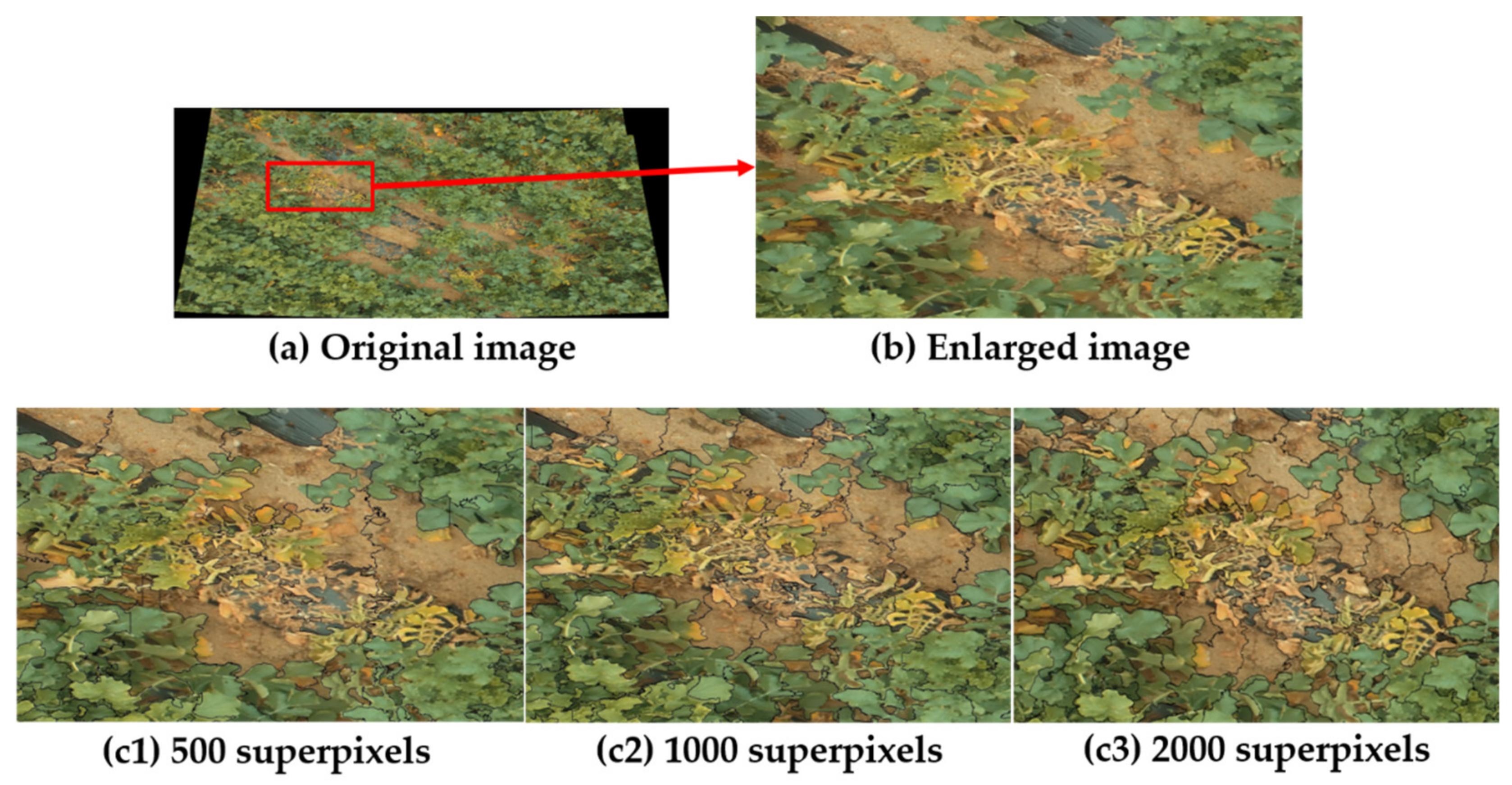 Remotesensing 12 02863 g006