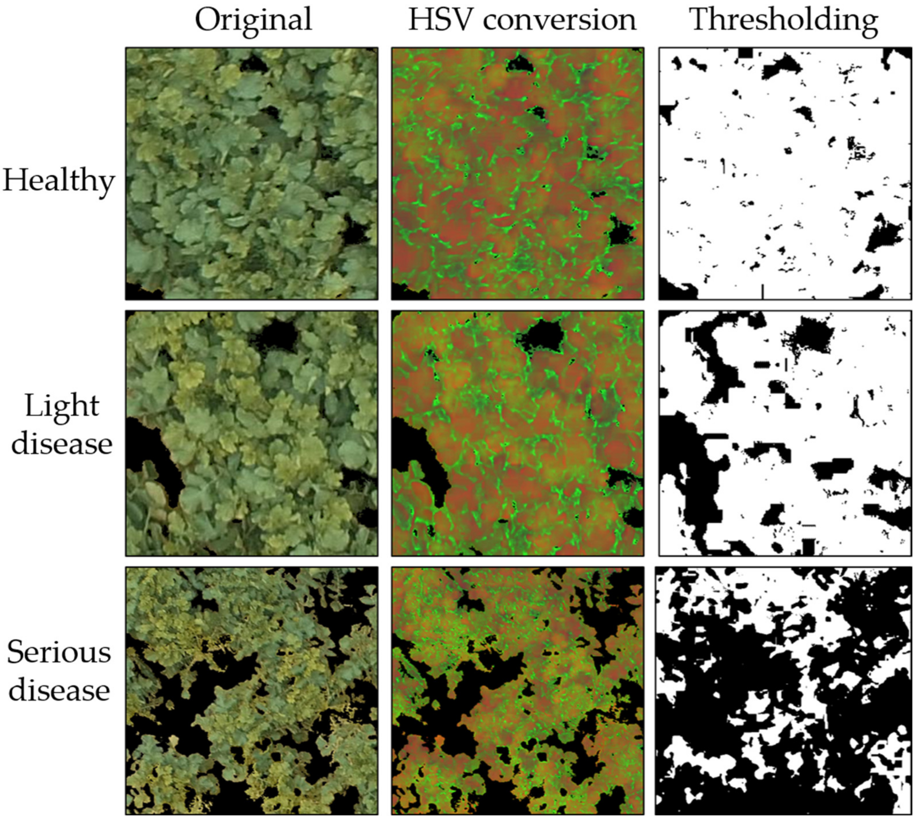 Remotesensing 12 02863 g008