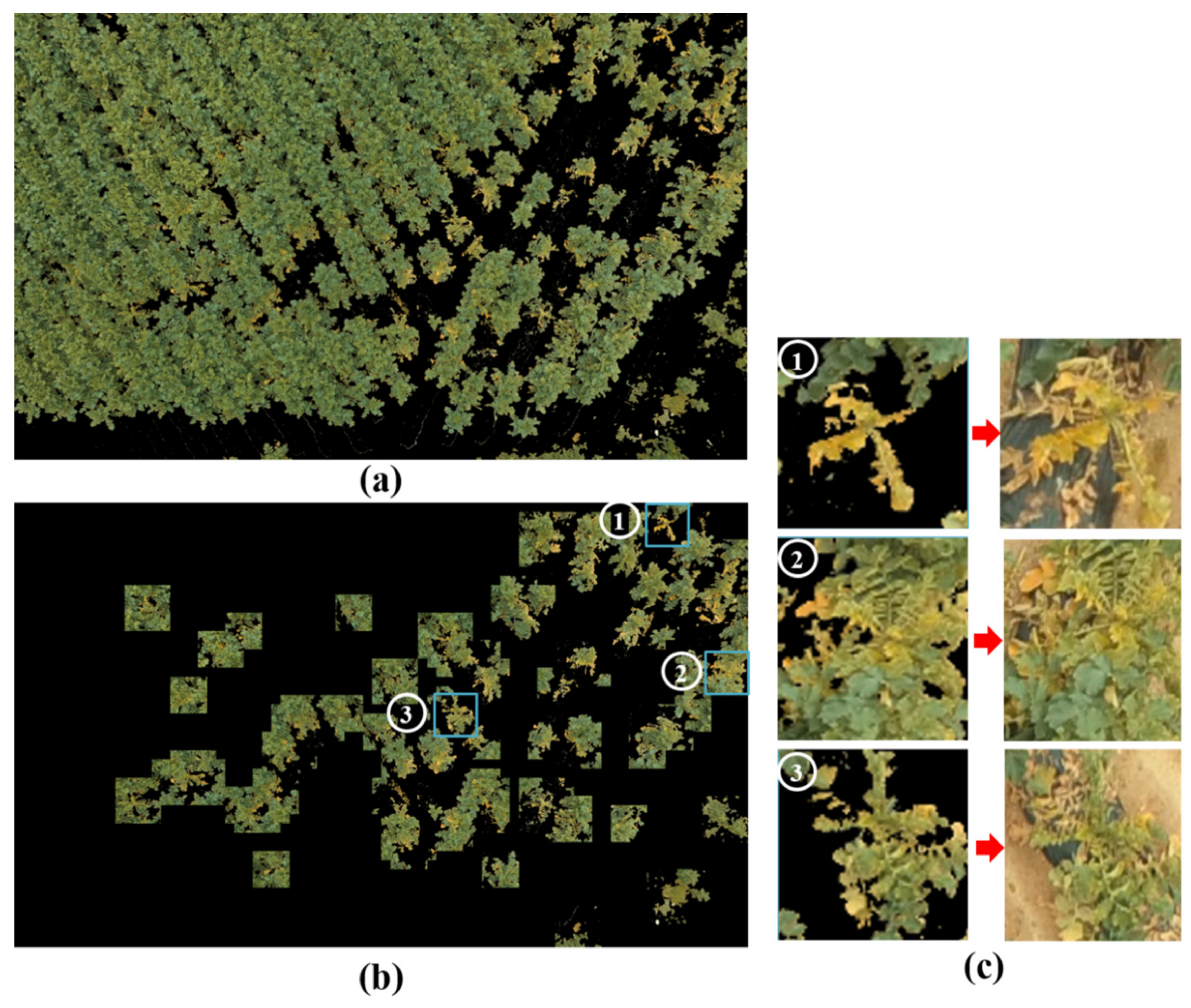 Remotesensing 12 02863 g010