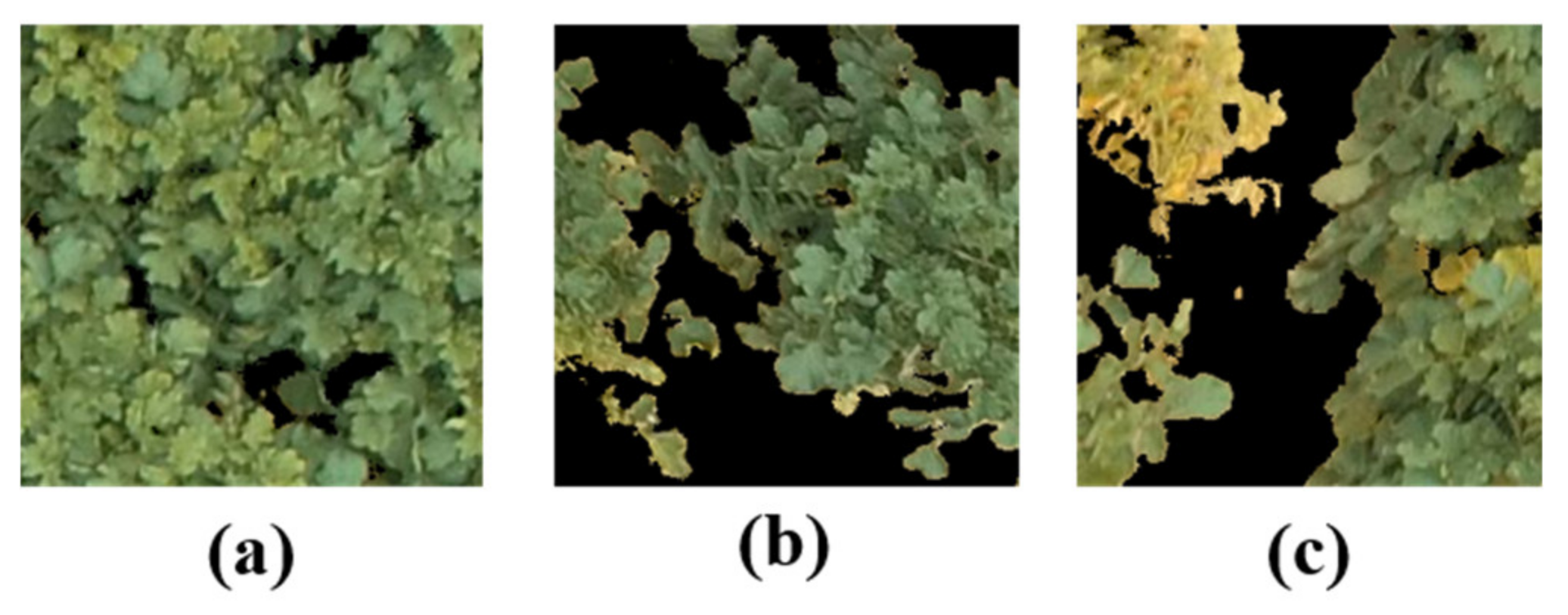 Remotesensing 12 02863 g011