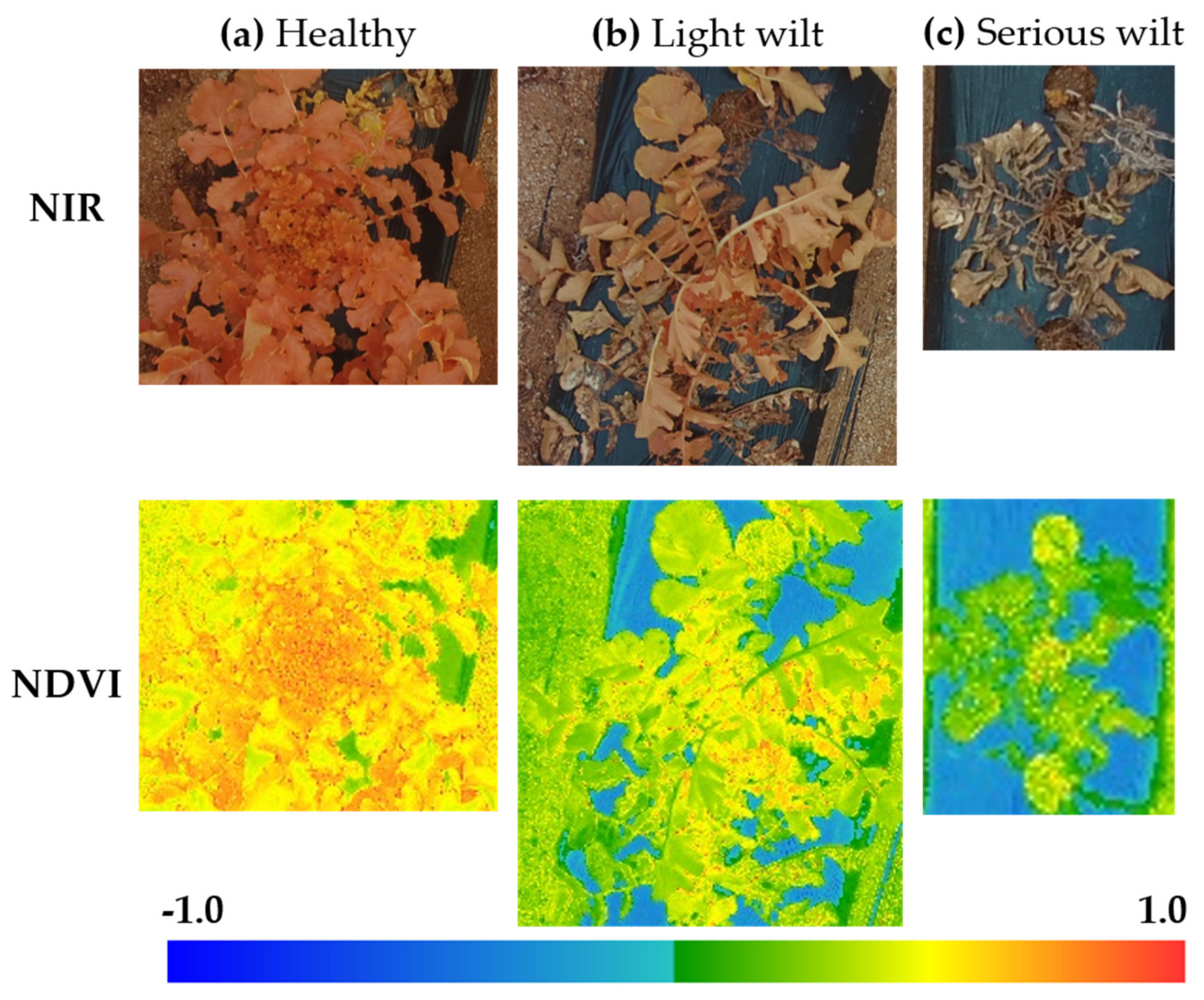 Remotesensing 12 02863 g012