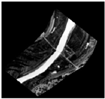 Remotesensing 12 02899 i005 Remotesensing 12 02899 i005